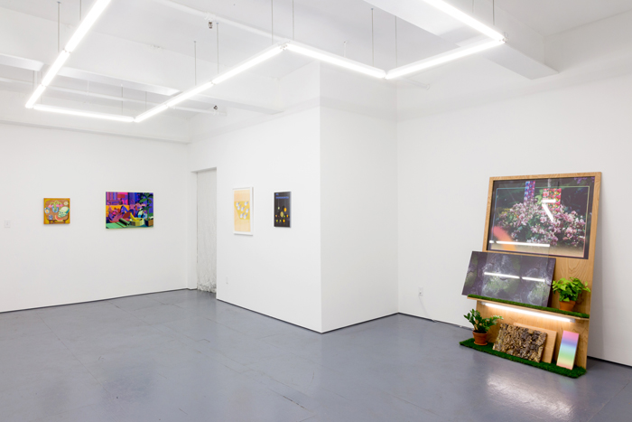  Installation view of the exhibition Living Still at Transmitter 