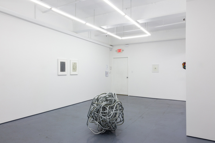  Installation view of the exhibition What’s My Line at Transmitter 