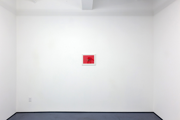  Installation view of the exhibition What’s My Line at Transmitter 