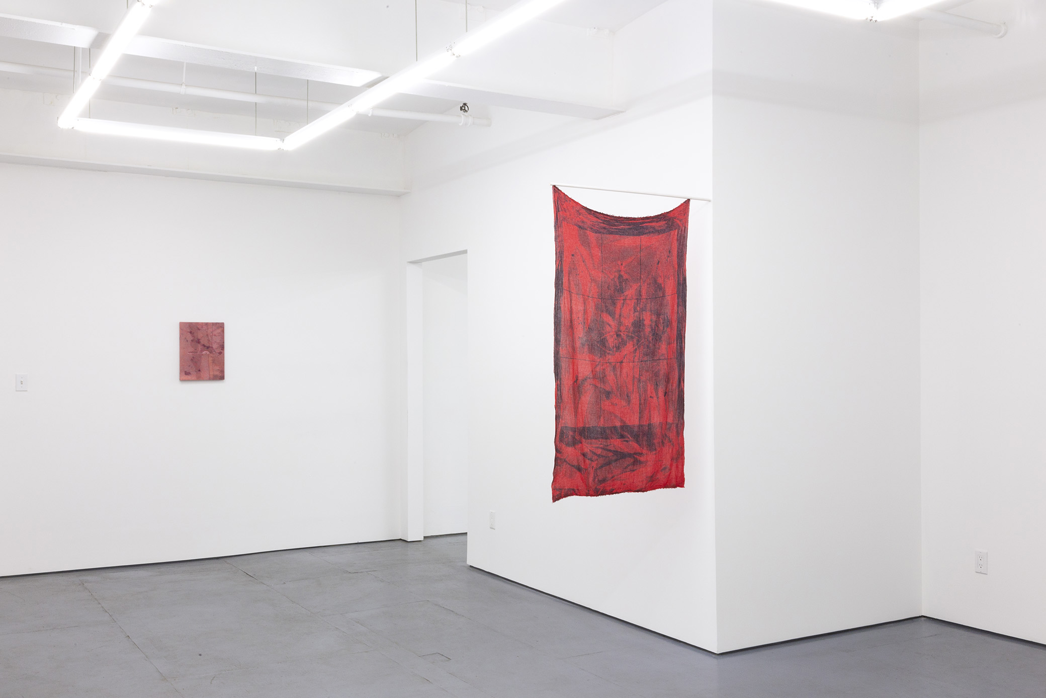  Installation view of the exhibition Egregore by Gregory Kaplowitz at Transmitter 