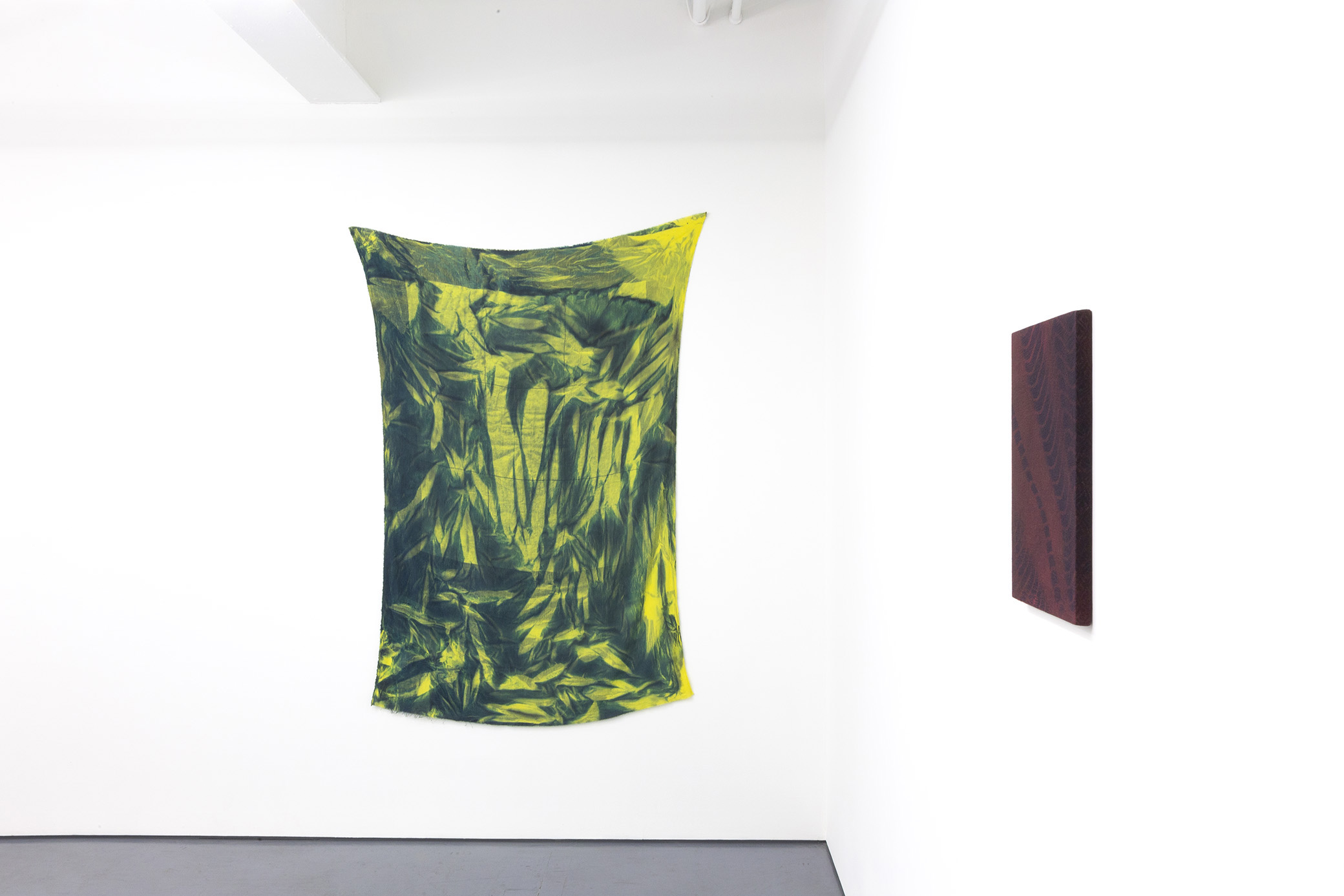  Installation view of the exhibition Egregore by Gregory Kaplowitz at Transmitter 