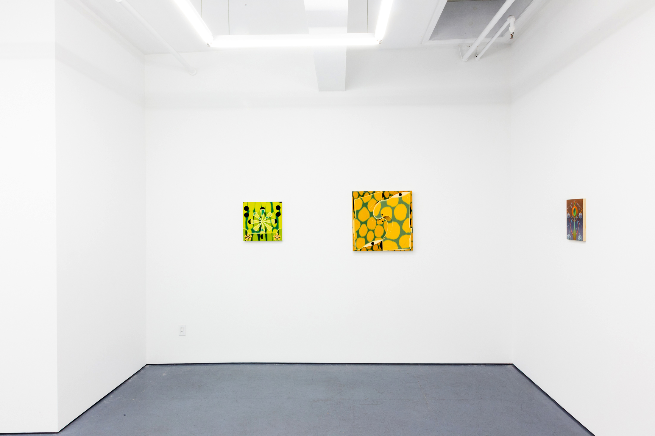  Installation view of Heed by Angela Heisch and Alessandro Keegan at Transmitter 