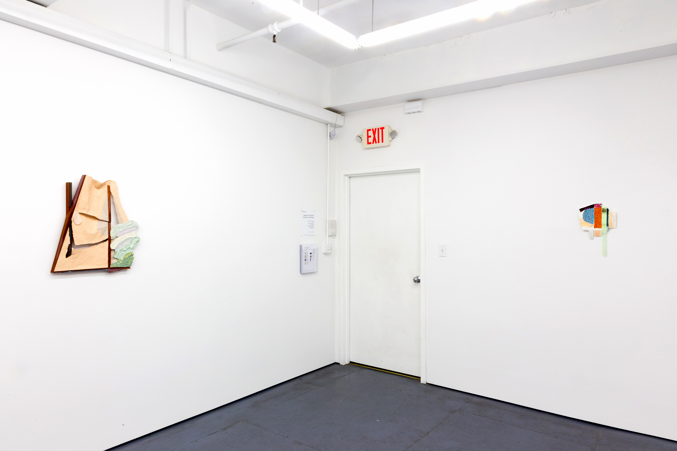  Installation view of Nestled in the Warm Embrace in “Painting” at Transmitter 