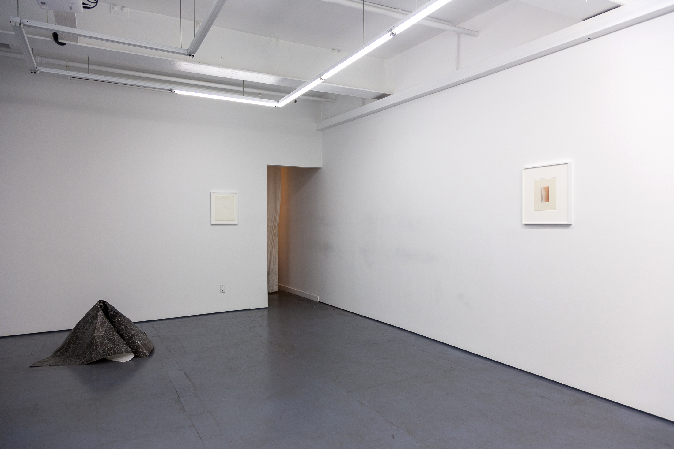  Installation view of Joy Episalla and Carrie Yamaoka at Transmitter 