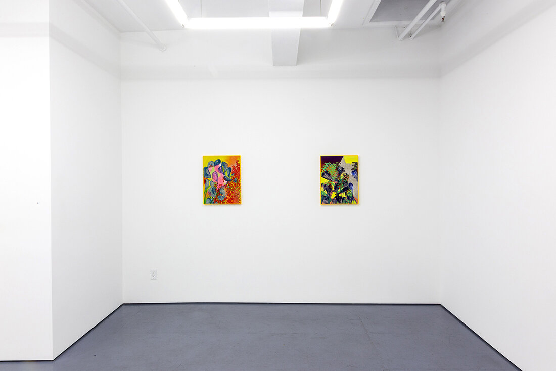  Installation view of Night Blindness by Lauren Portada at Transmitter 