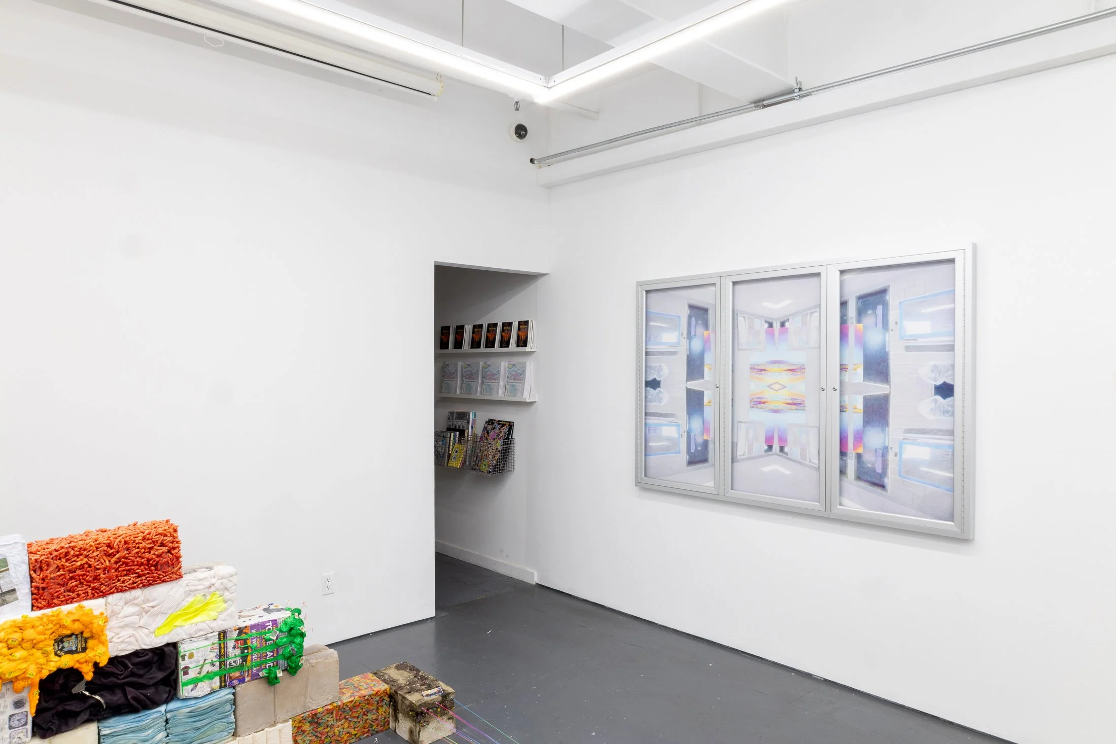 Fraught Imaginaries Install Shots-43.jpg