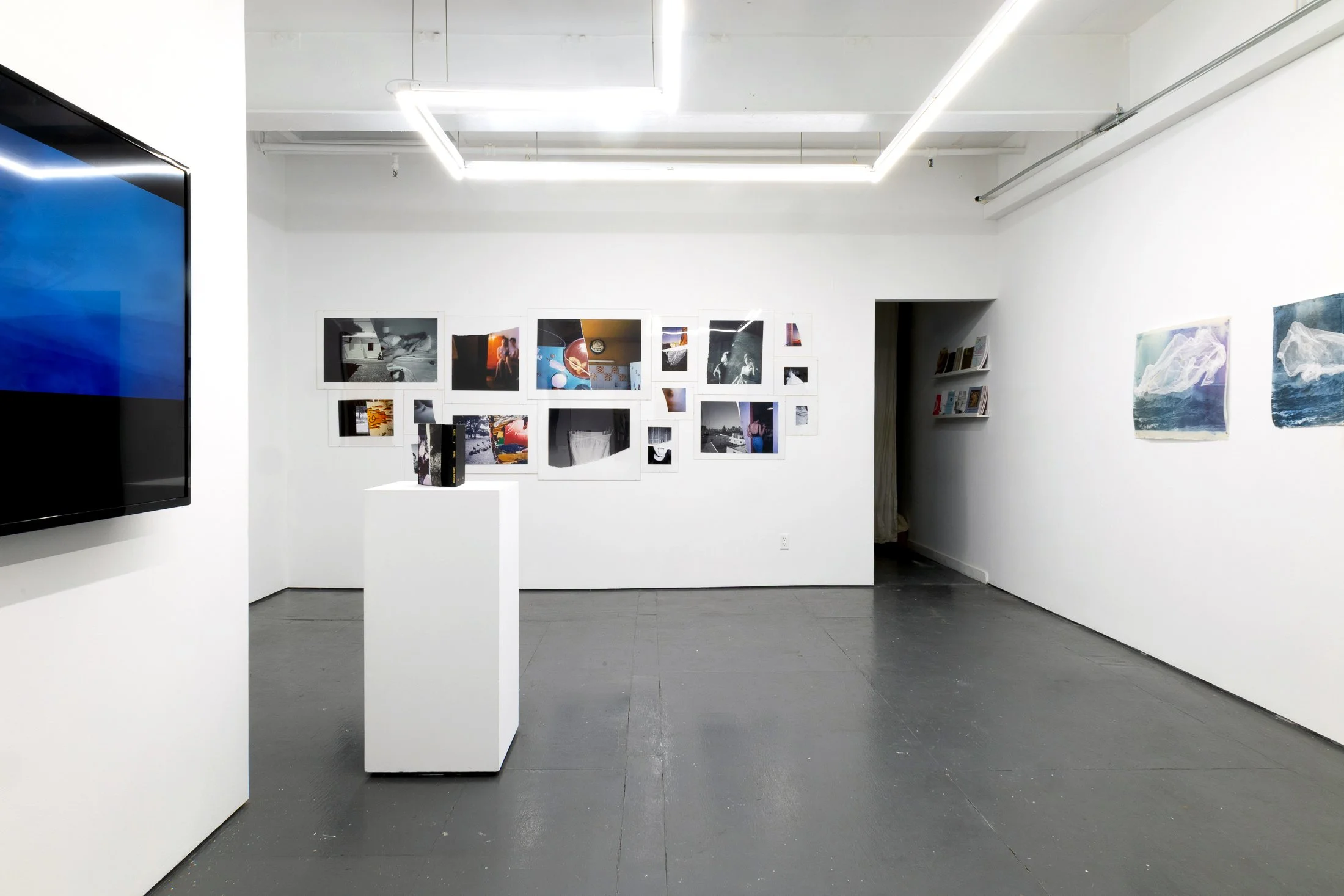  Installation of "Encapsulate In Transcendence" Works by Bart Was Not Here, Cansu Korkmaz, and Nazanin Noroozi  AFI’s Artist Community Network Group Exhibition, January 10–February 1, 2026. Photo by Carl Gunhouse 