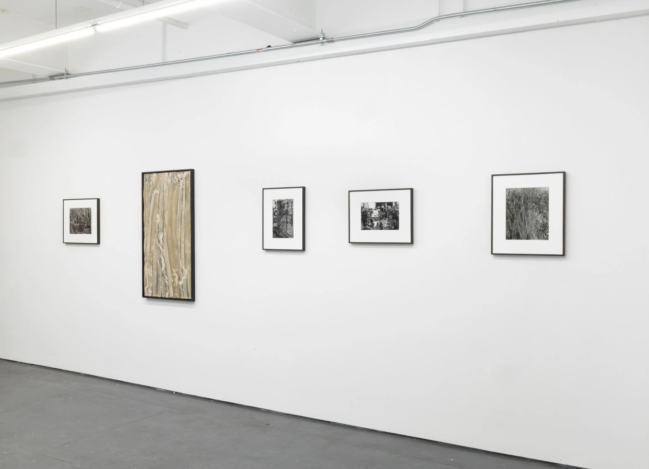 Copy of jbmorton-TR-3.jpg