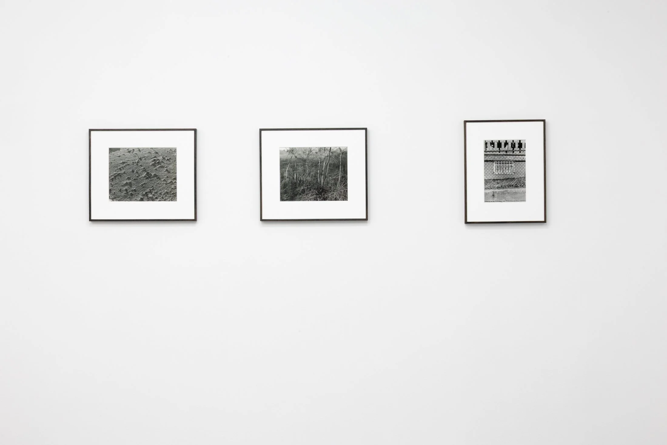 Copy of jbmorton-TR-10.jpg