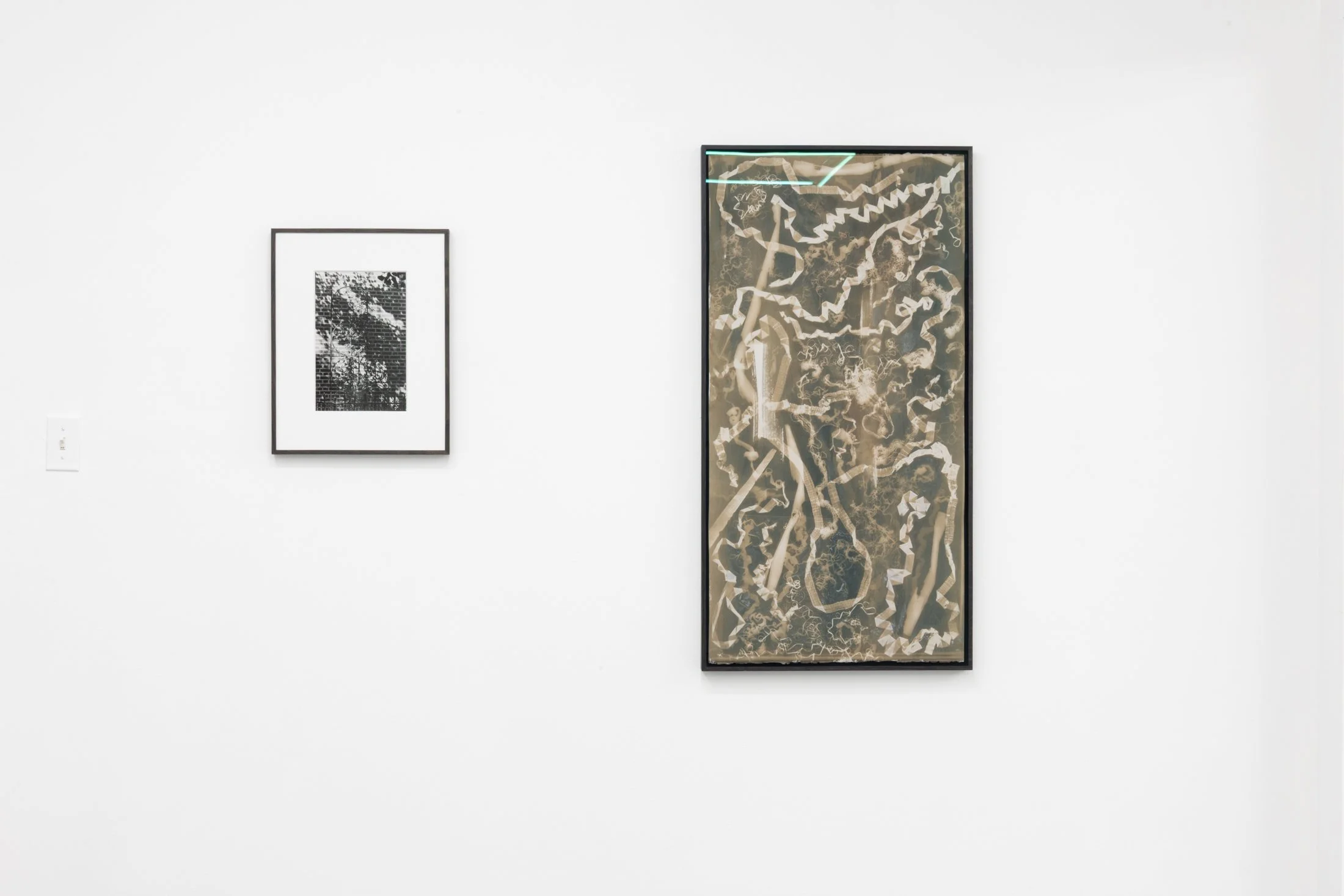 Copy of jbmorton-TR-15.jpg