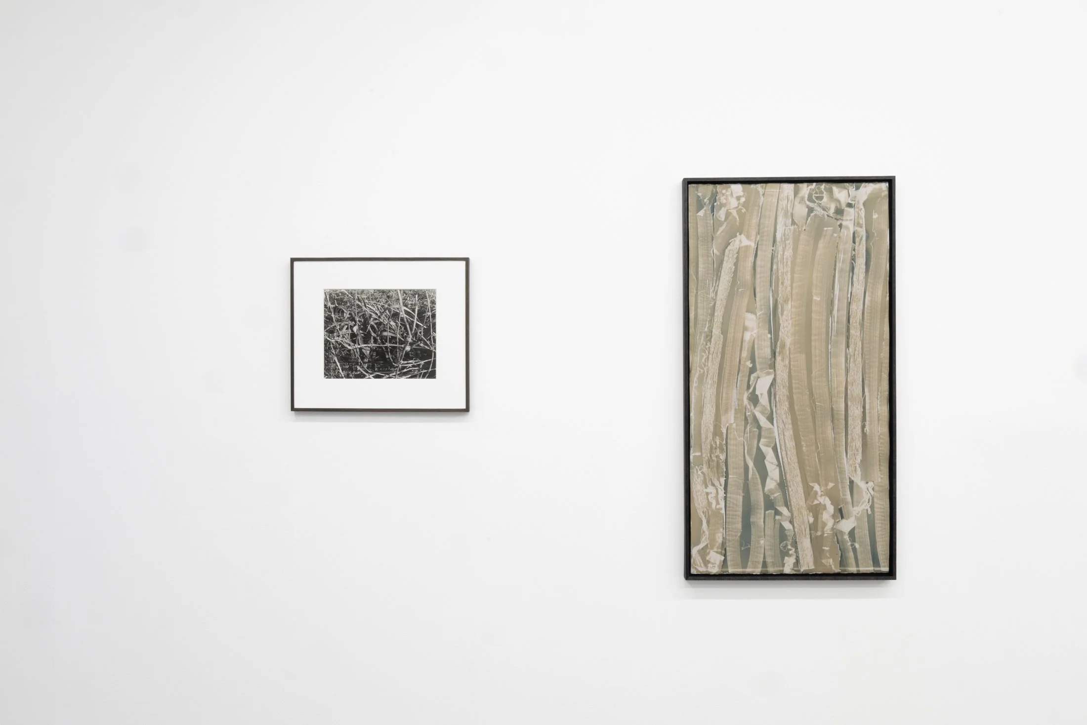 Copy of jbmorton-TR-22.jpg