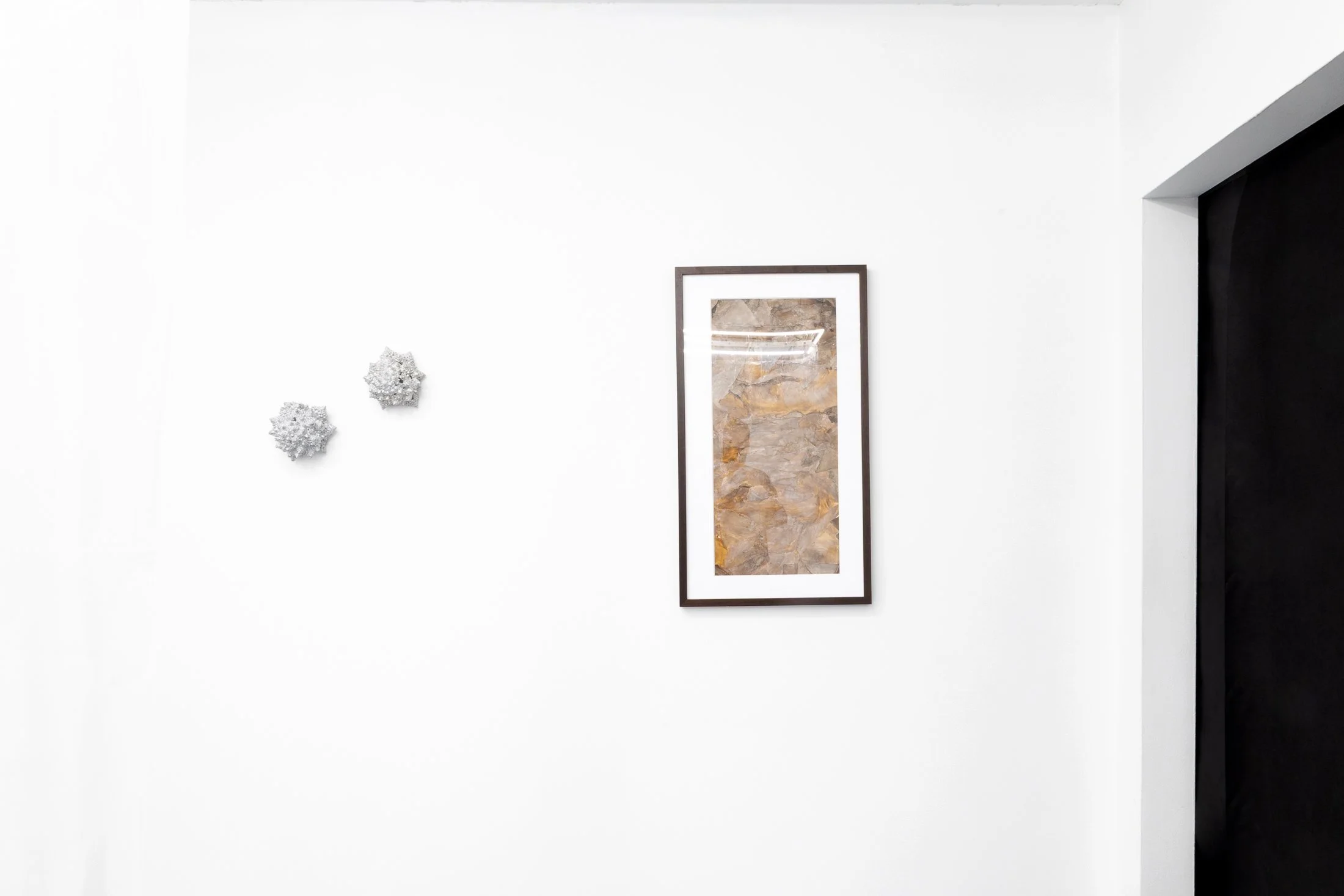 untitled-186.jpg