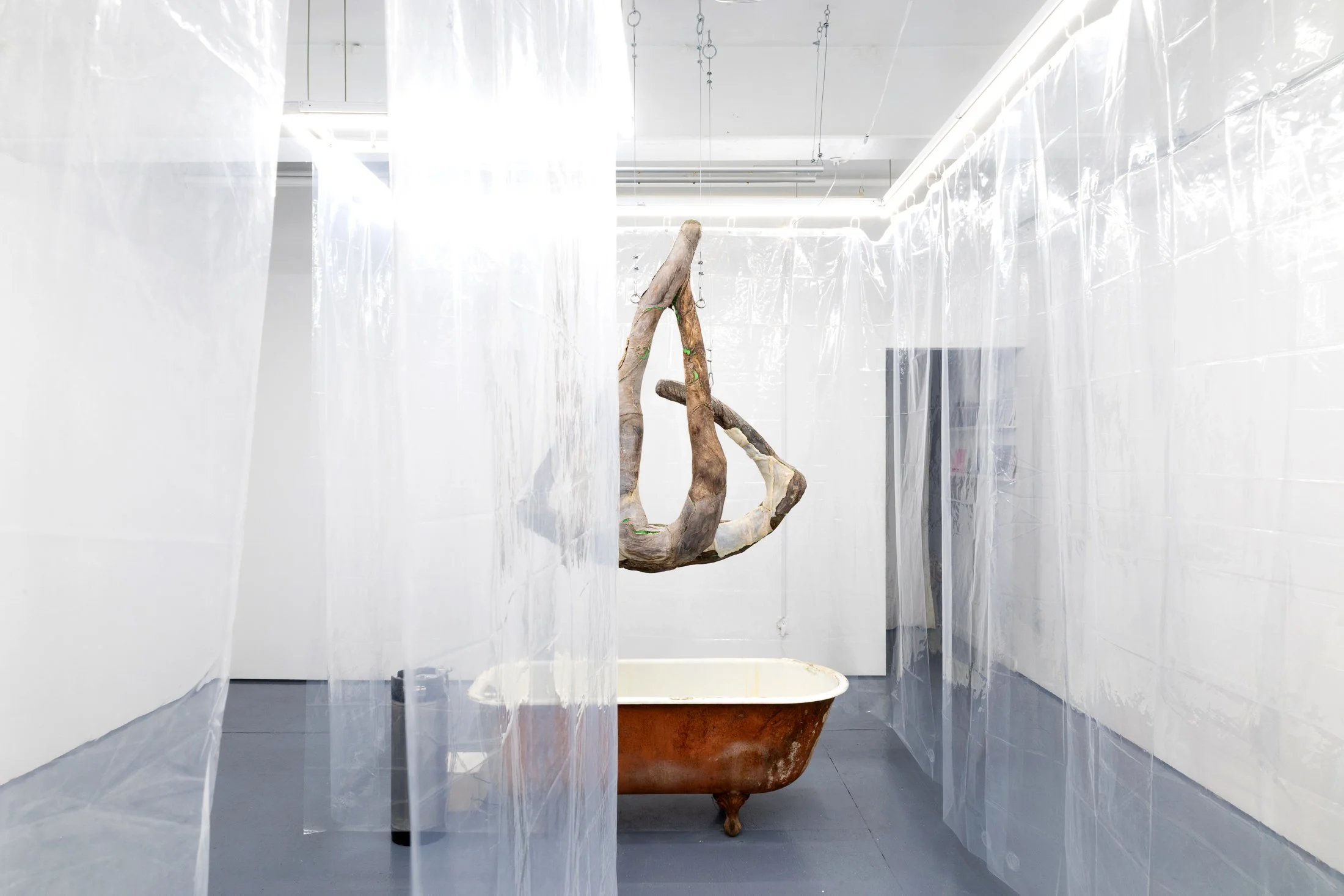 untitled-204.jpg