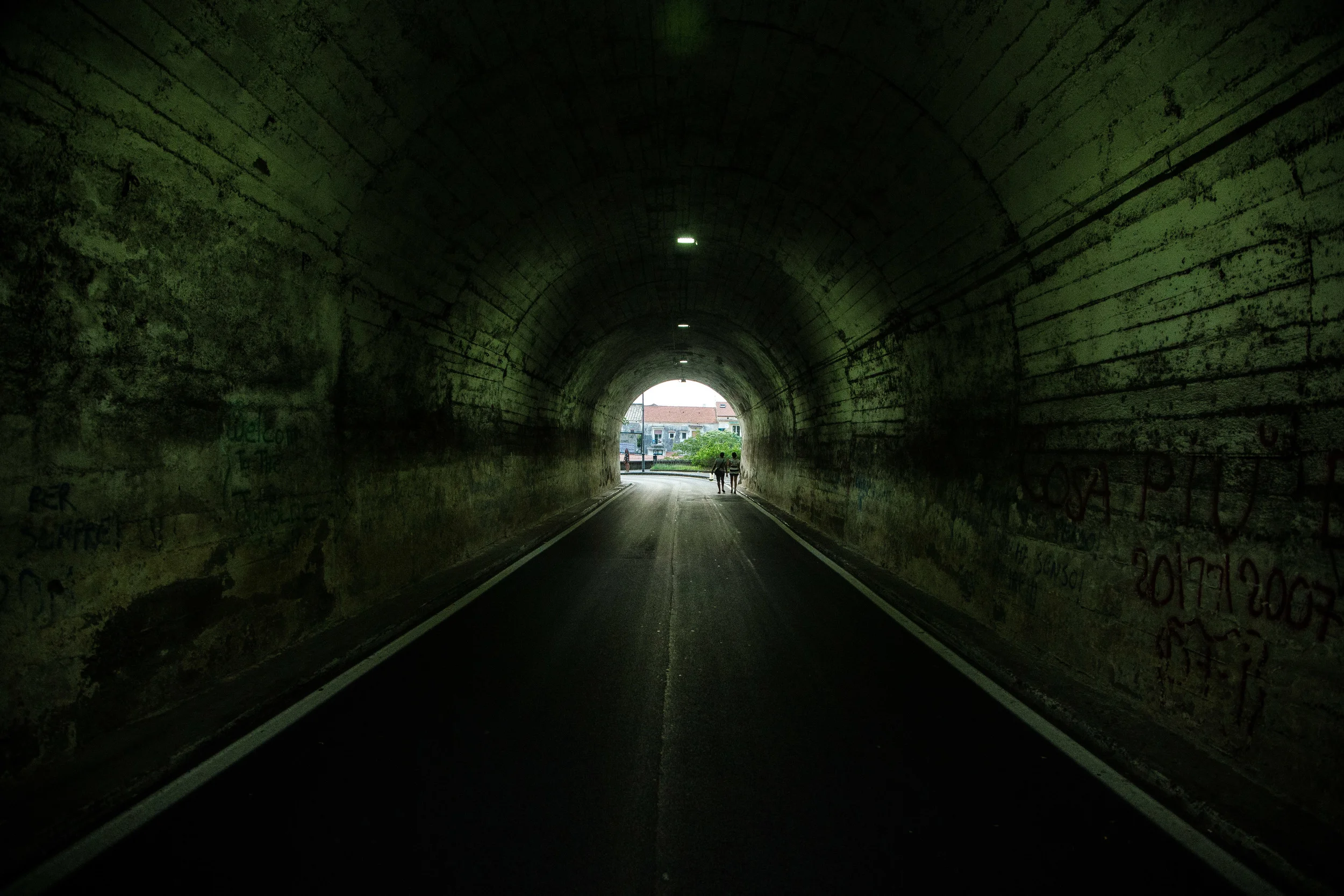 _81P7031.jpg
