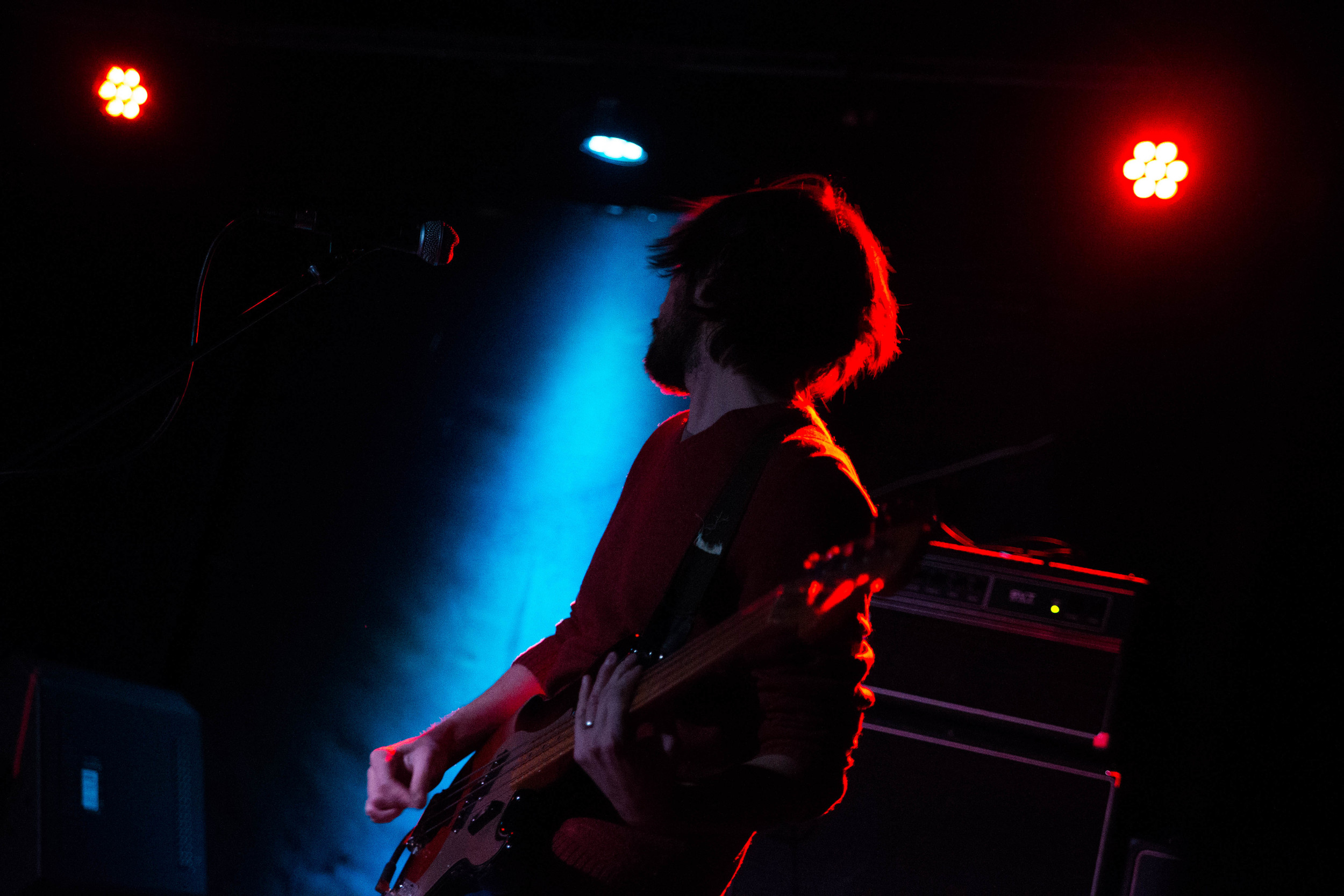 _81P3736.jpg