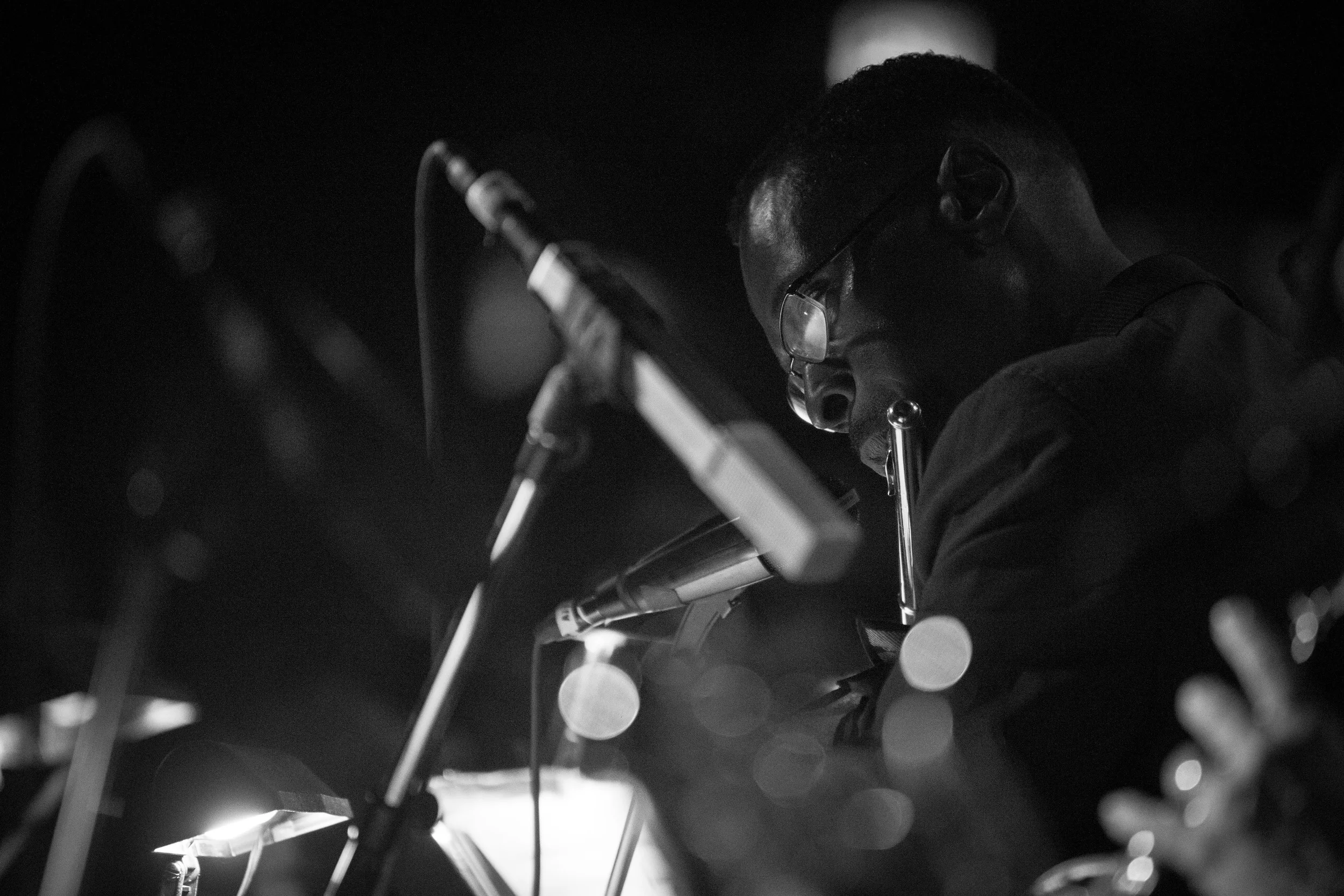Dizzy-33.jpg