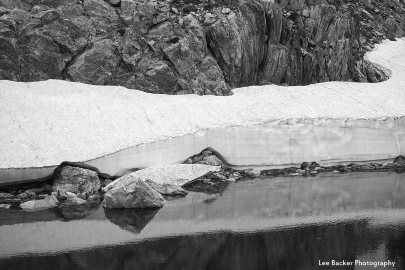 Snow in Medicine Bow National Forest