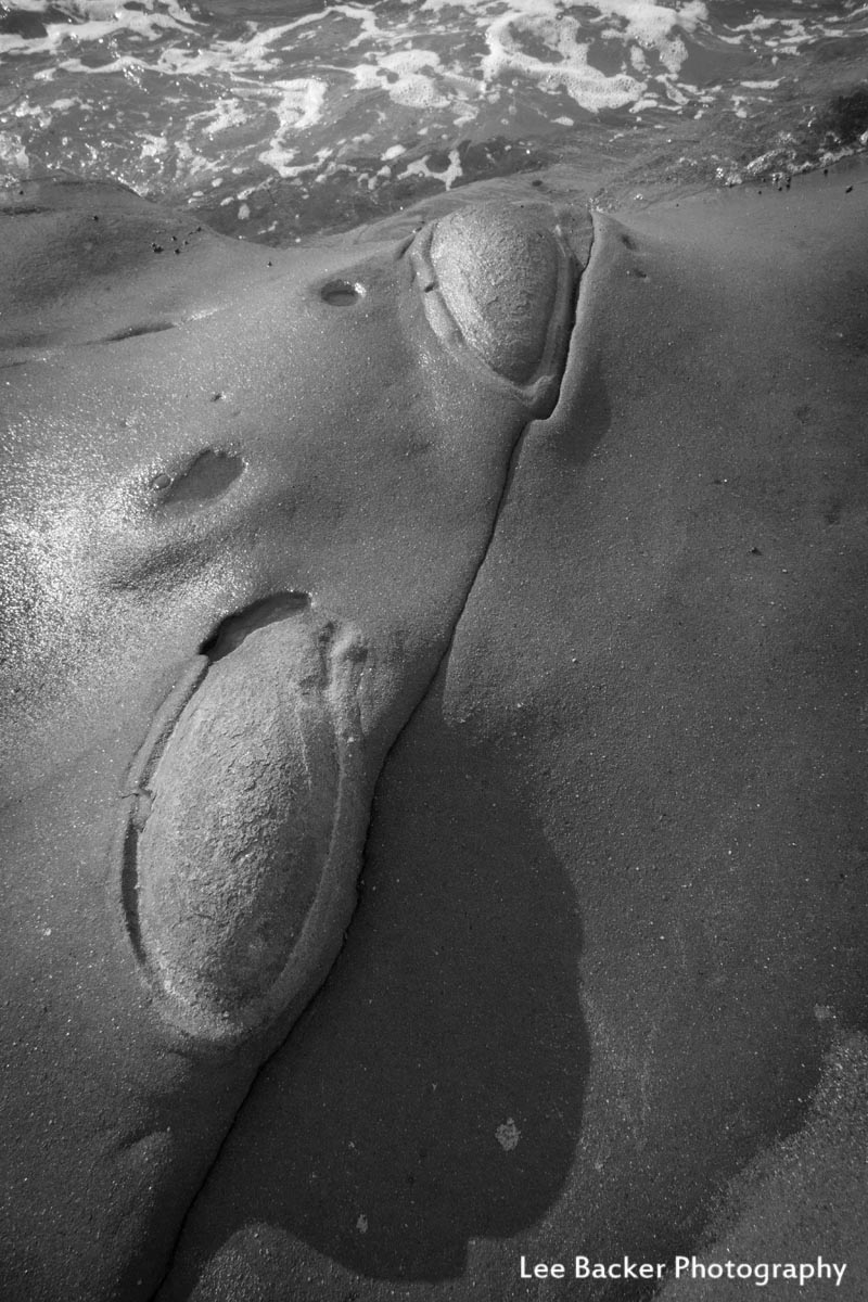 La Jolla Tide Pools