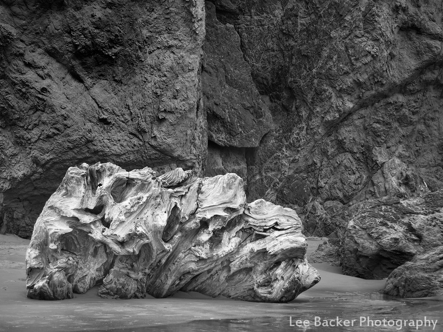 Driftwood, Bandon Beach, Oregon