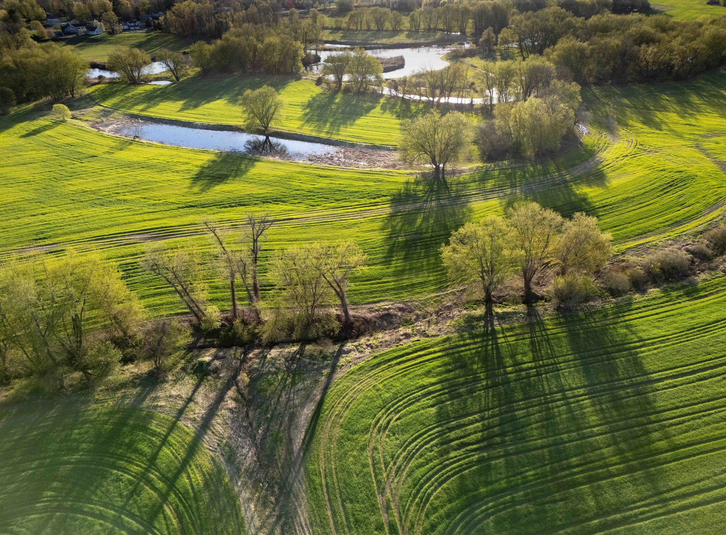 April Fields