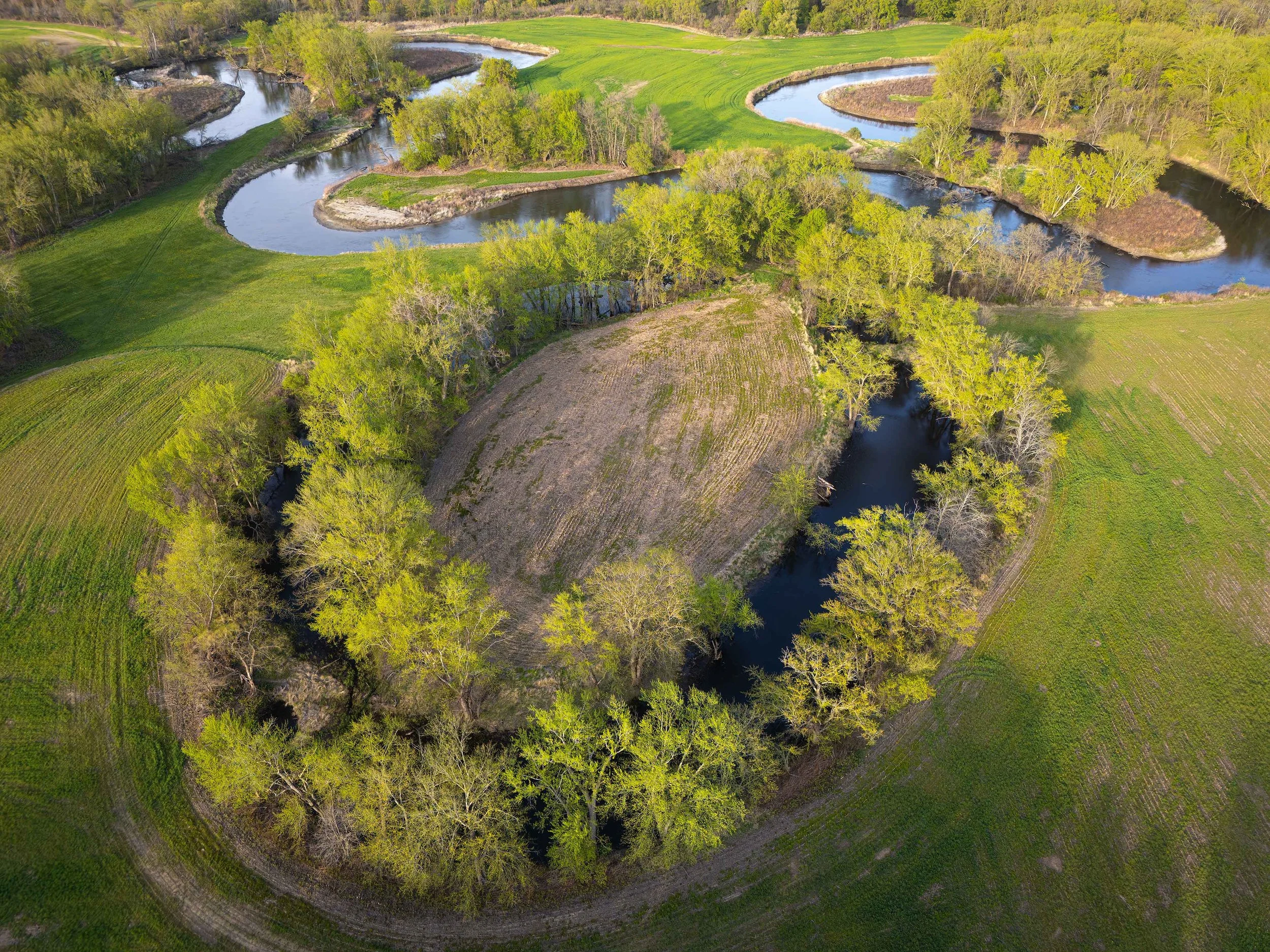 Oxbow in Spring