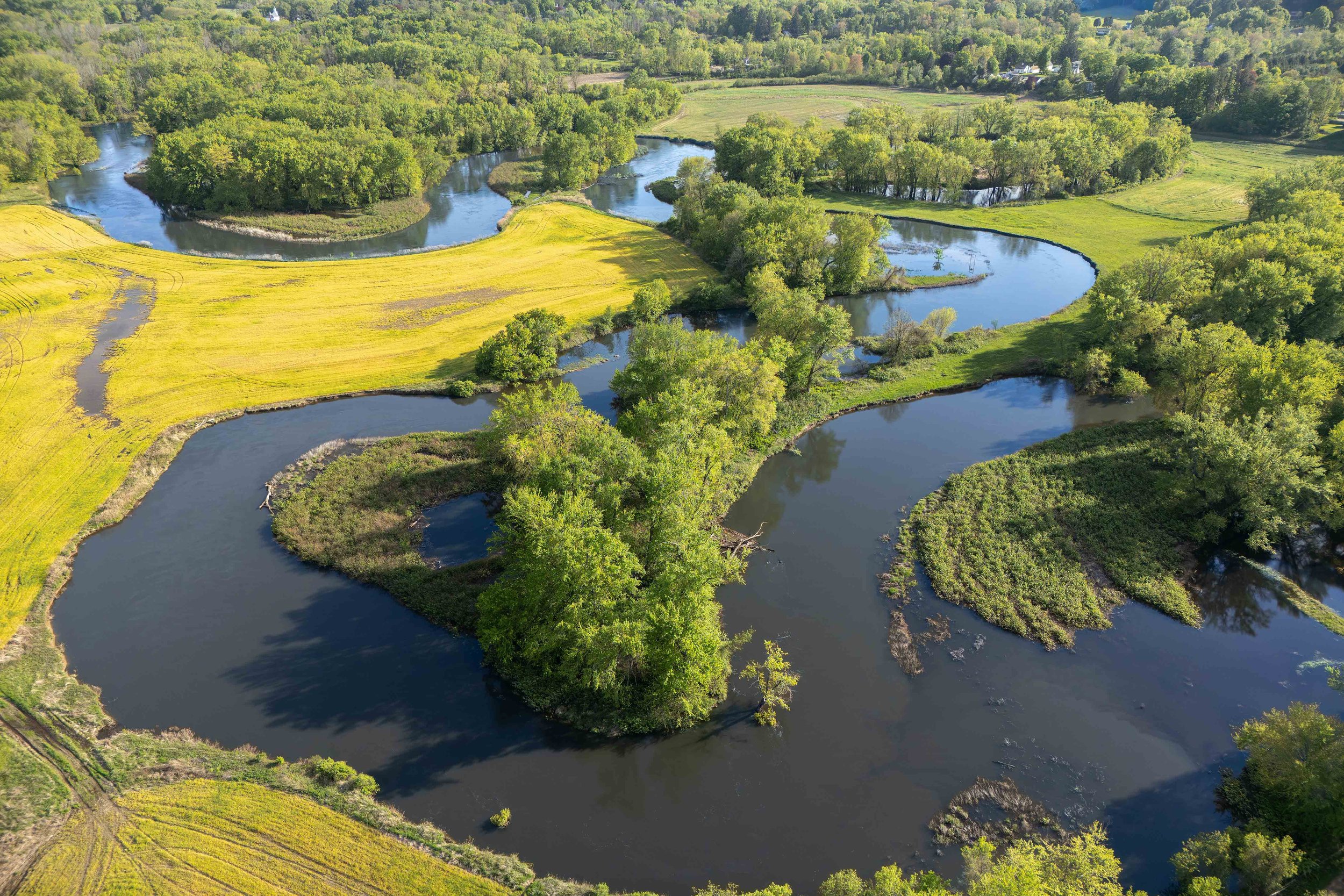 Meandering River, Spring