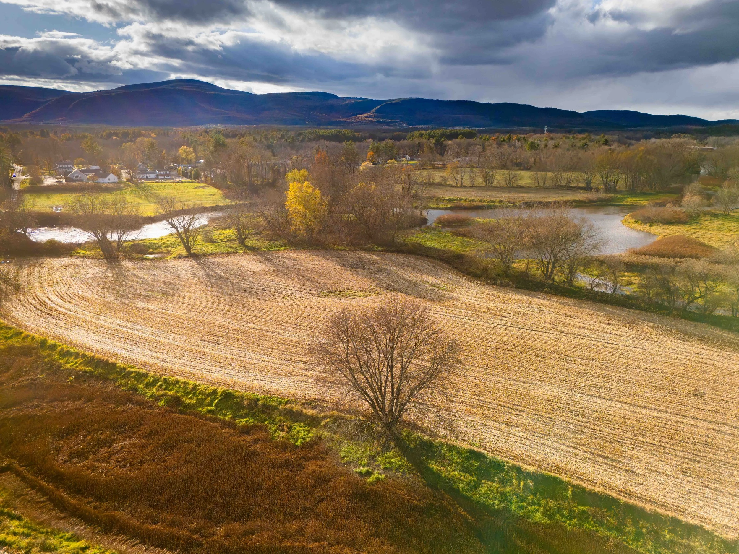 Field in Autumn