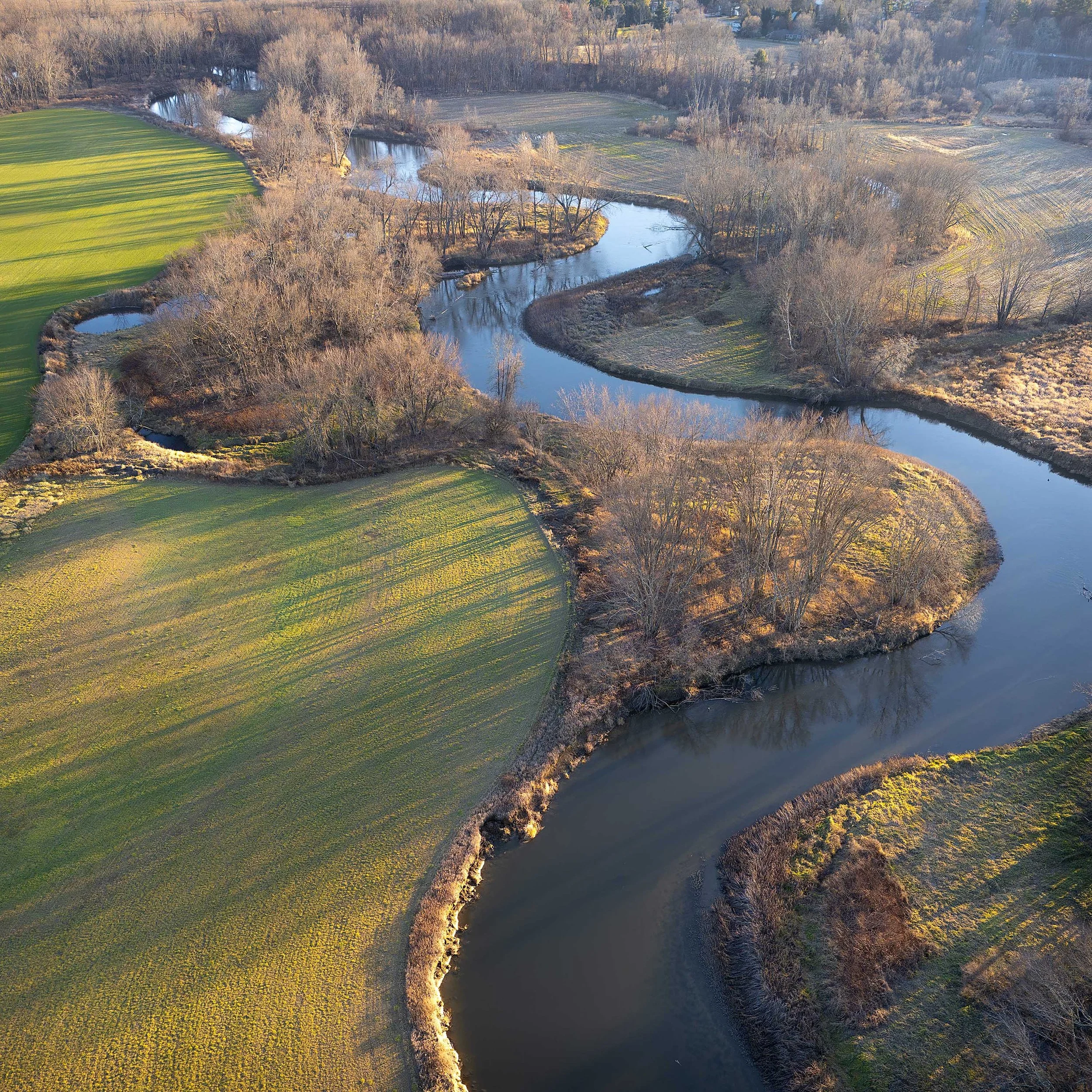 Meandering River, Autumn