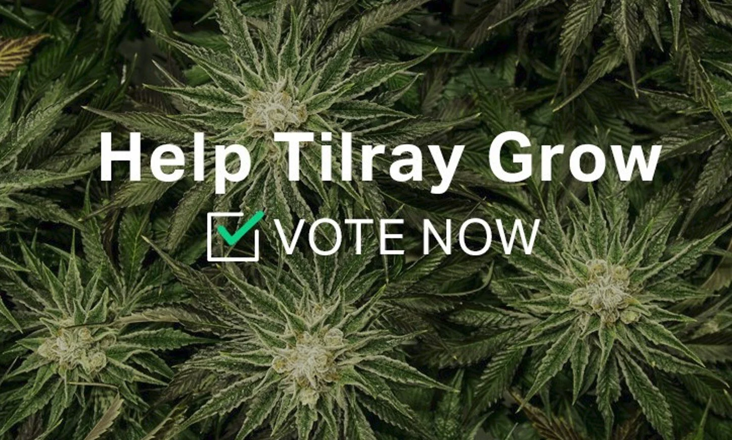 Tilray Chairman and CEO, Irwin D. Simon, Sends Shareholder Letter Mapping out $4B Revenue Plan