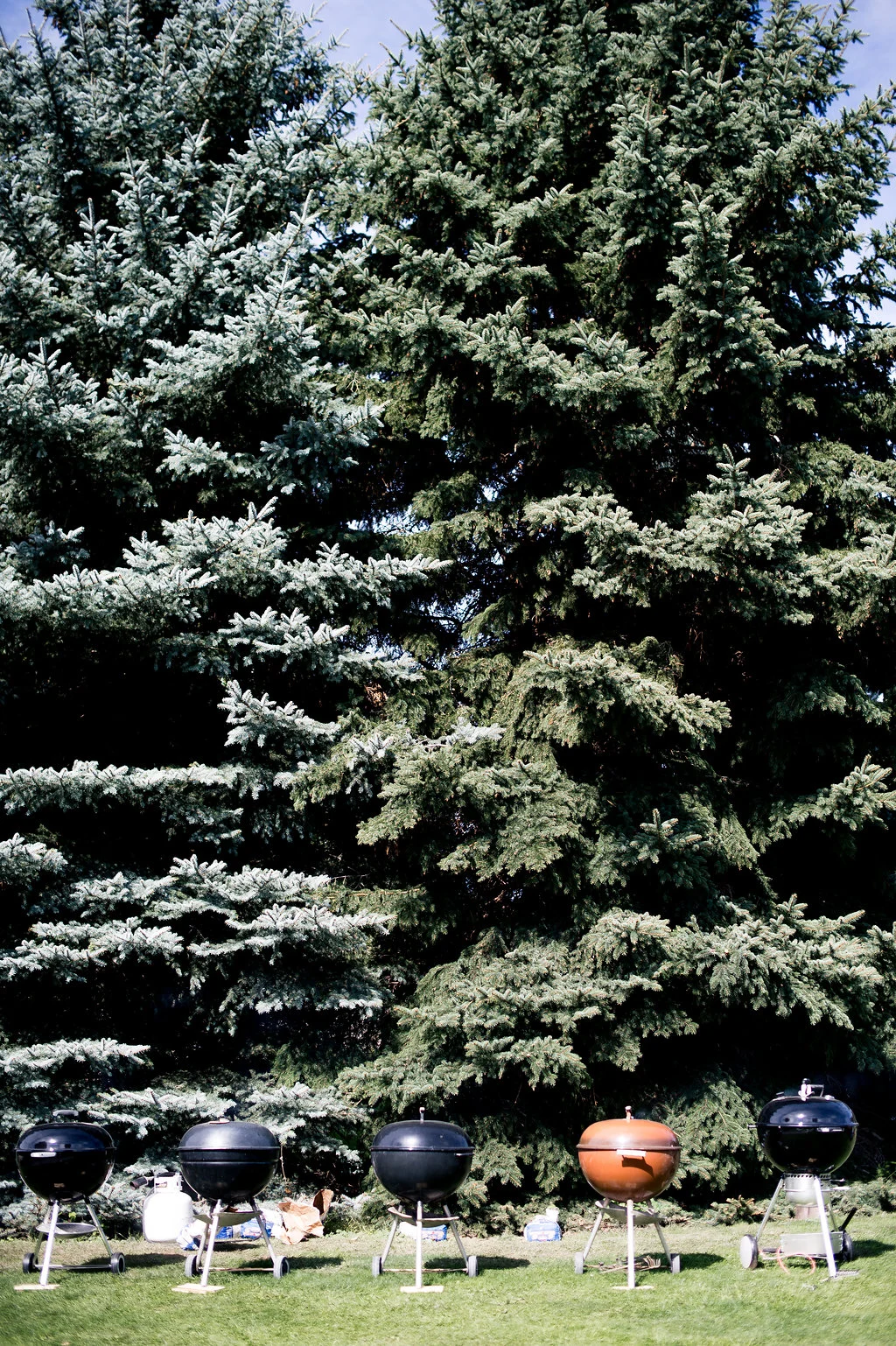 000_0809.jpg