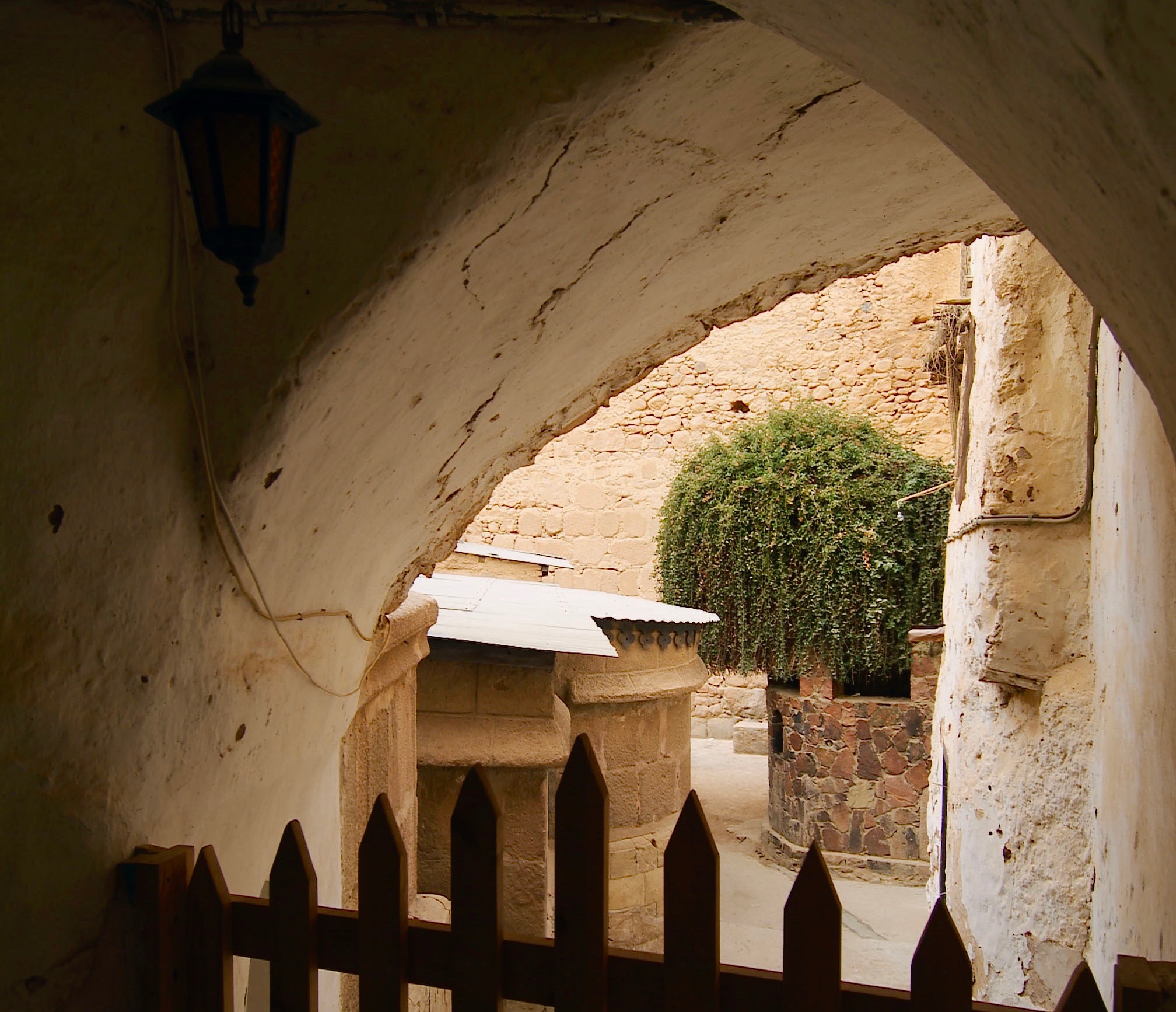 The Burning Bush grows until today outside the chapel built by Saint Helena in the 4th century.