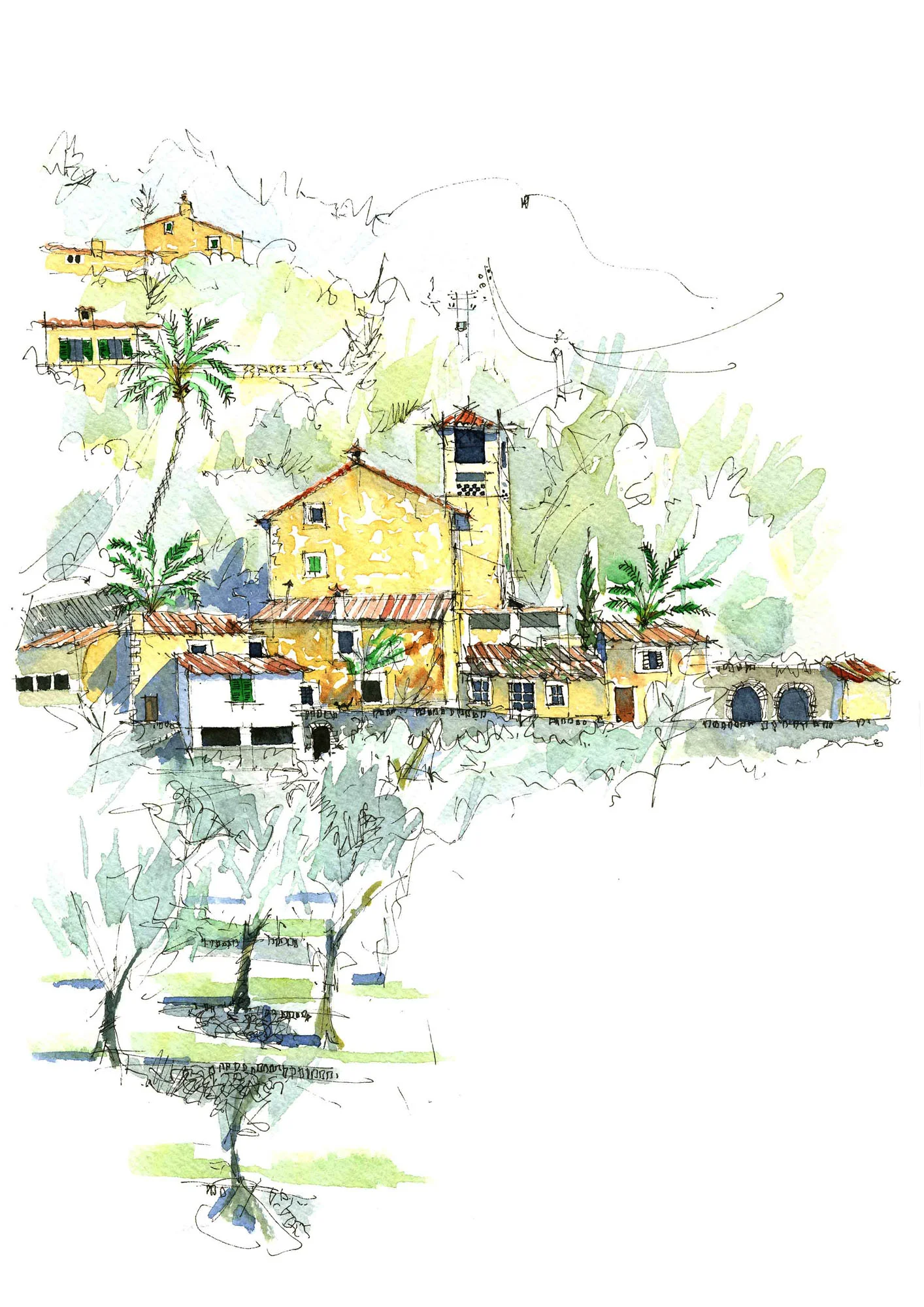PSollBosc-20px.jpg