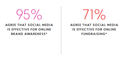 Source: 2018 Global NGO Technology Report