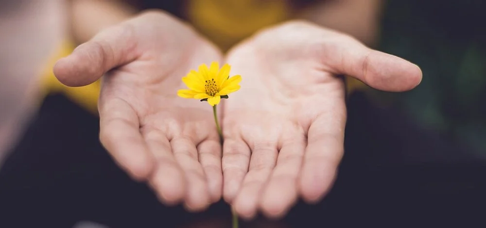 flower.jpg