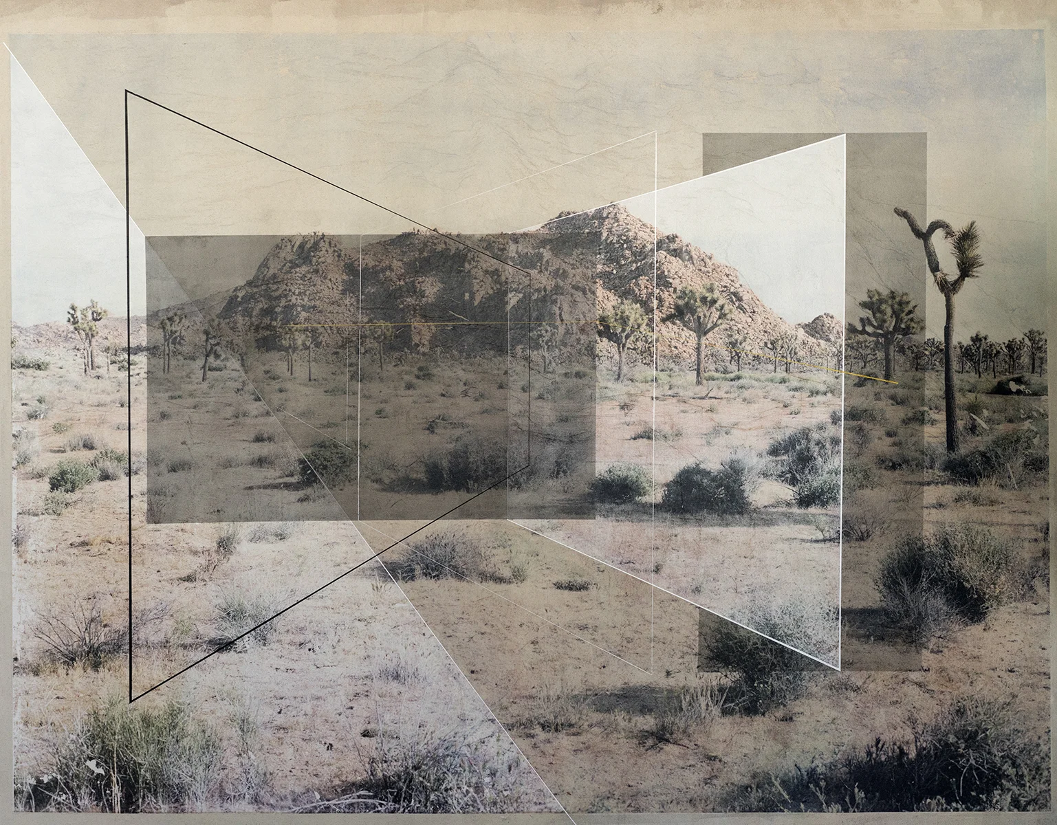 New Land No. 6