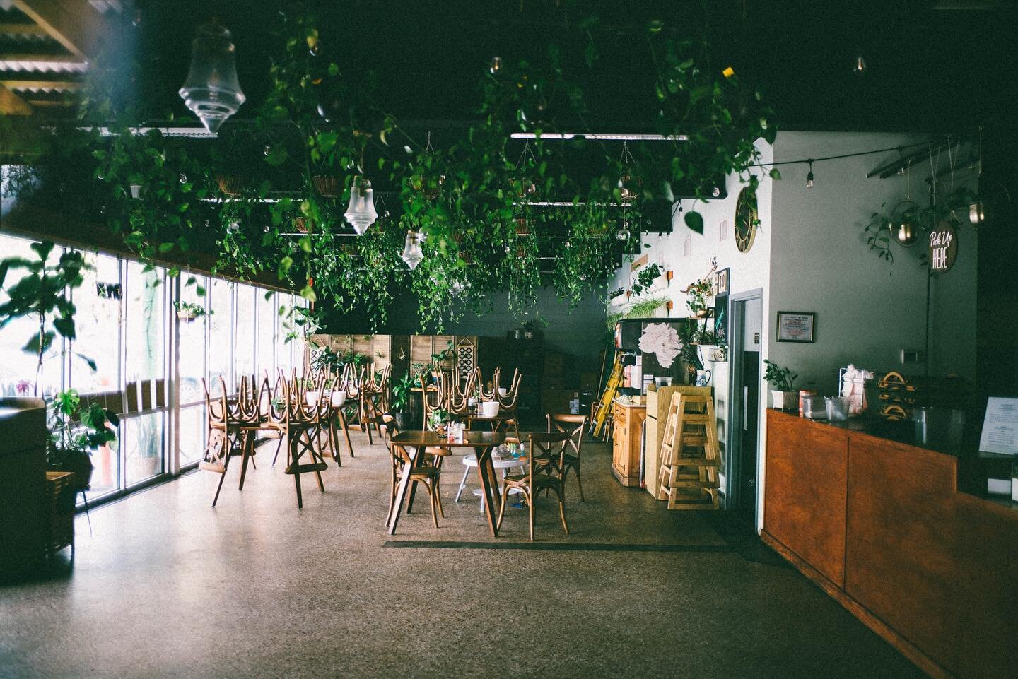 jardins suspendus. // #analogspirit
.
.
.
.
.
#leica #leicam #leicam240 #plants #interiors #moody #streetphotography #emptyspace #vscofilm #voigtlander #leicaclub #leicamag #throughthelens #gnv #explore #streetshot #vscohub #cinematic #agameoftones #