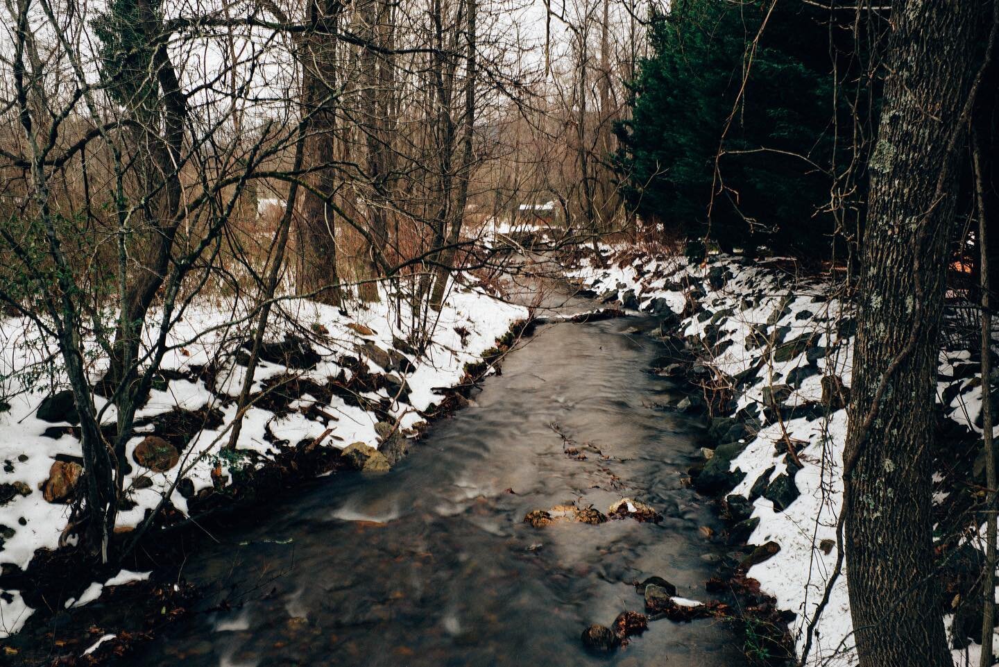 flat creek, january, 2022. #analogspirit 
.
.
.
.
.

#leica #leicashooter #leicam240 #leicaphotography #landscape #avl #wnc #northcarolina #vscofilm #vsco #moody #darkroom #lowkeyphotography #voigtlander #ttartisan #wanderlust #capture #explore #goou