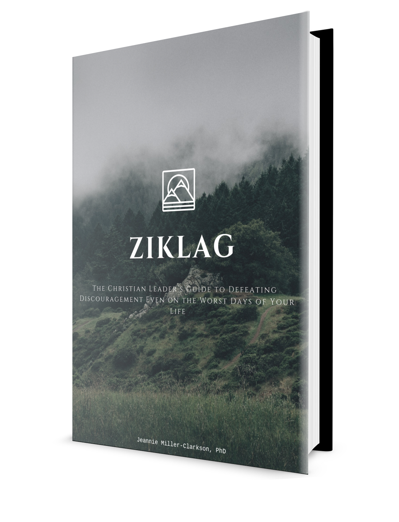 Free download. Ziklag: Overcome Discouragement Even on the Worst Days of Your Life. Bible Study, Self-assessment, Personal Case Study and Small Group Discussion Guide.