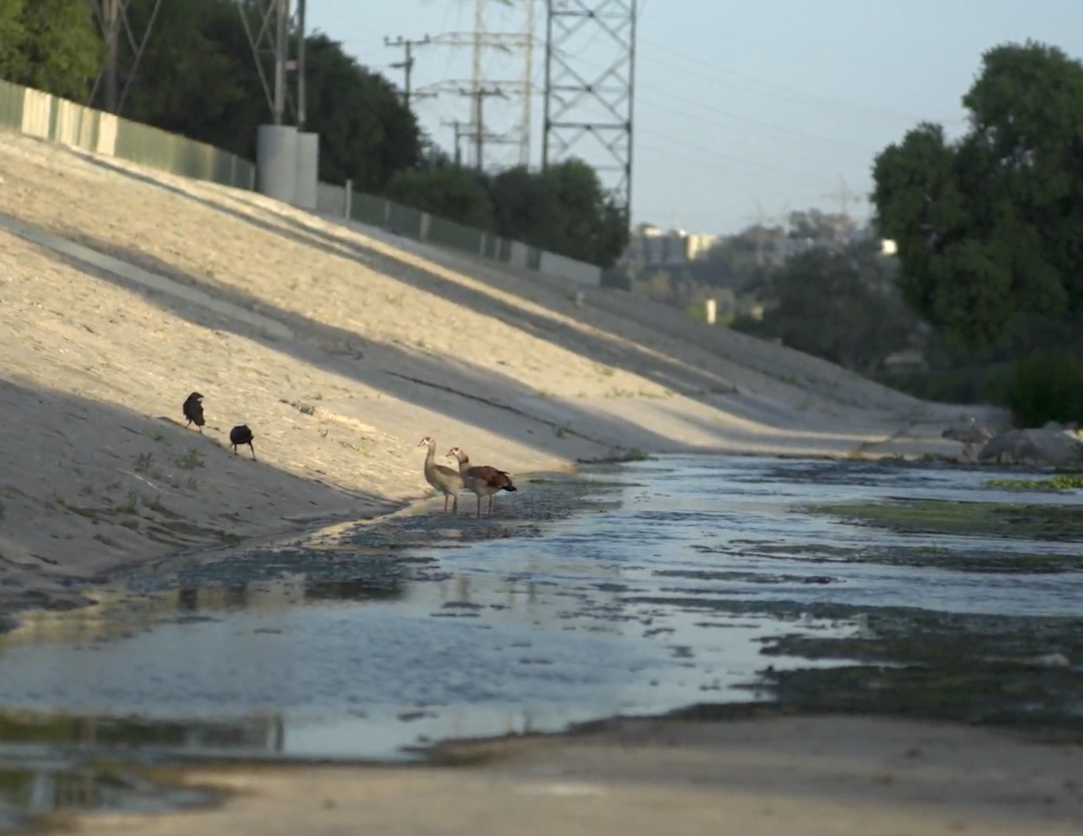 Screenshot 2026-02-18 at 12.03.31.png