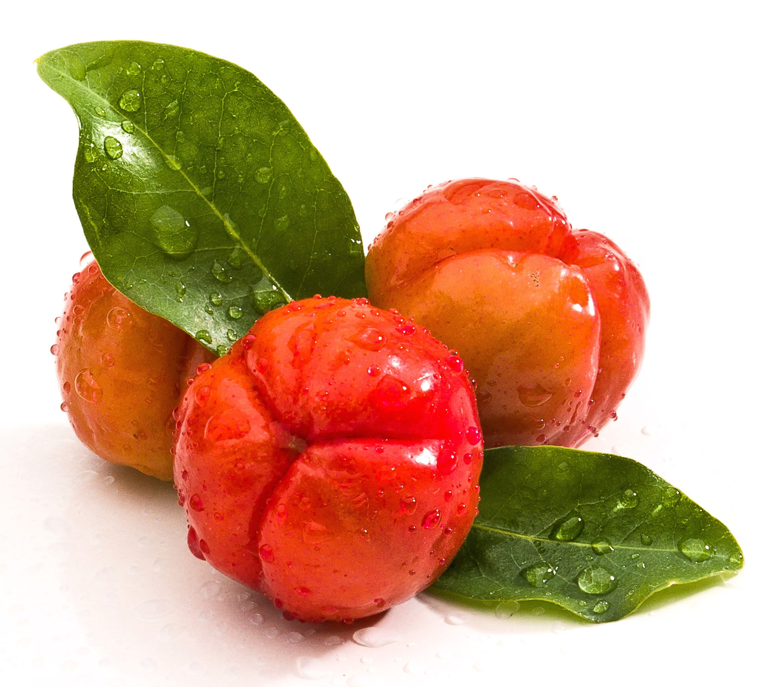 ACEROLA • Superkällan av C-vitaminer. 1 acerola = 90 apelsiner i C-vitamin mängd. • Innehåller även magnesium, B-vitaminer och karotener. • Perfekt frukostboost i smoothien eller gröten i vårt kalla klimat.