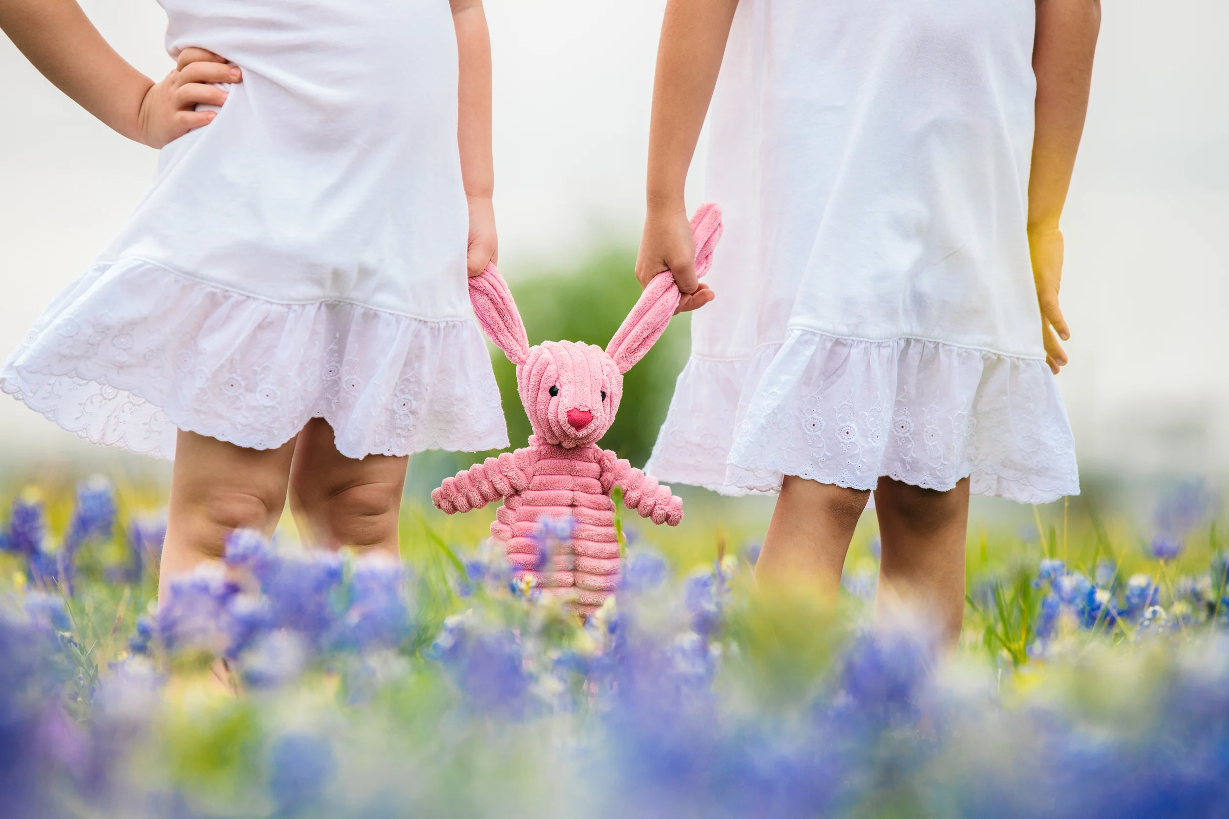 Texas Blue Bonnets - Family Photography