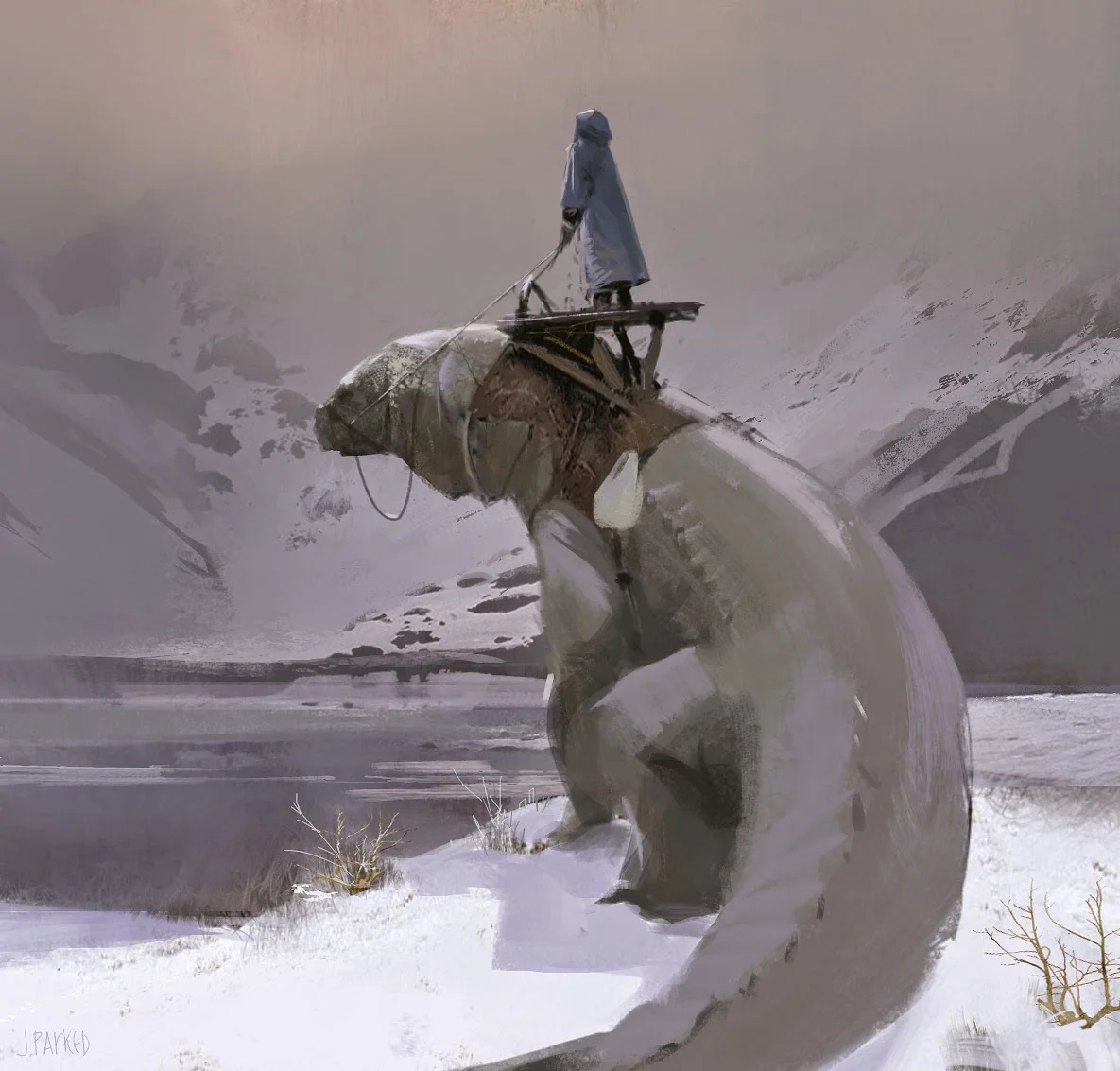 snow.jpg