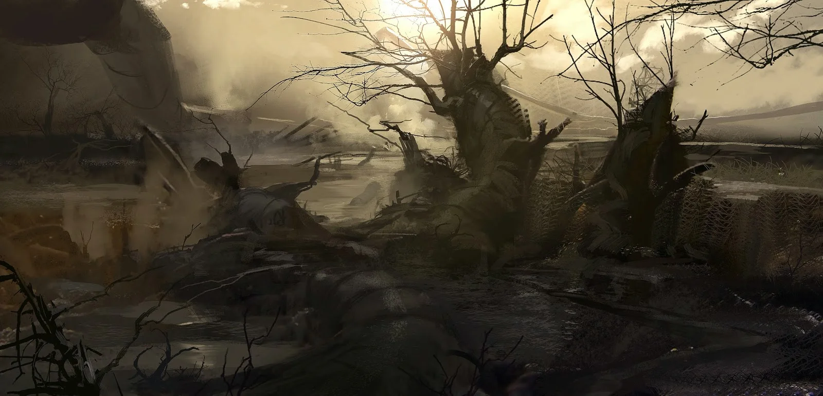forest_02.jpg
