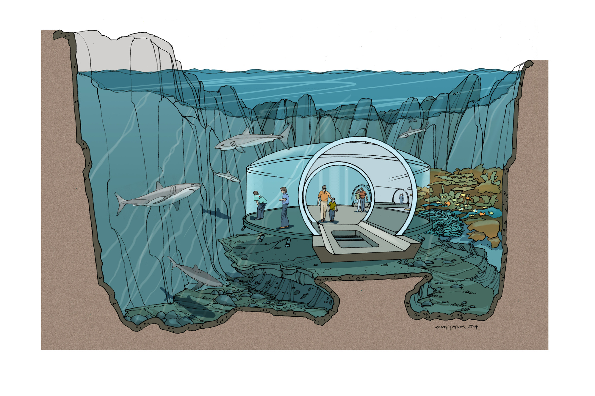 Shark Tank-Final Color.jpg