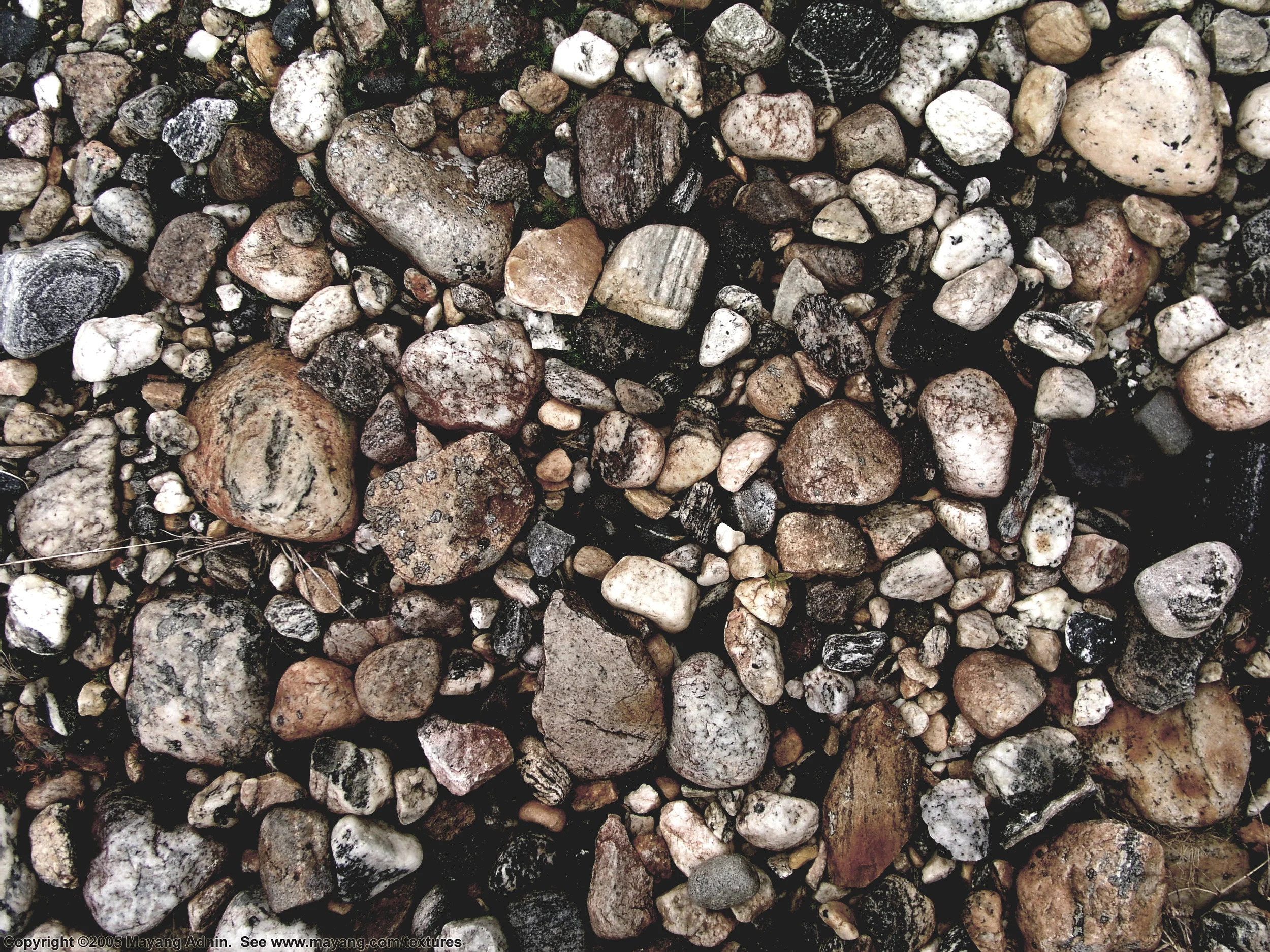 river texture.jpg
