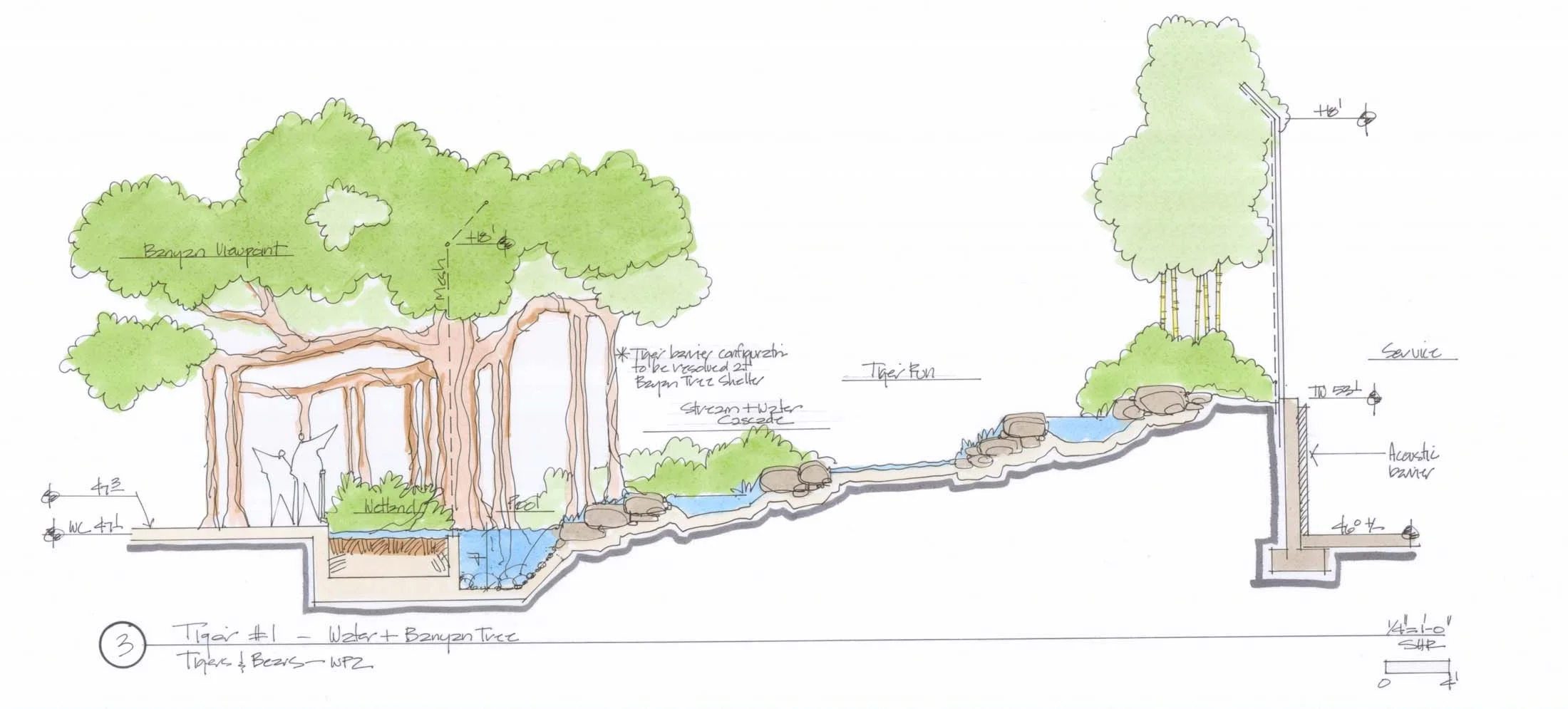 Early sketch of the Tiger Exhibit stream, pool, and Banyan Viewing Shelter