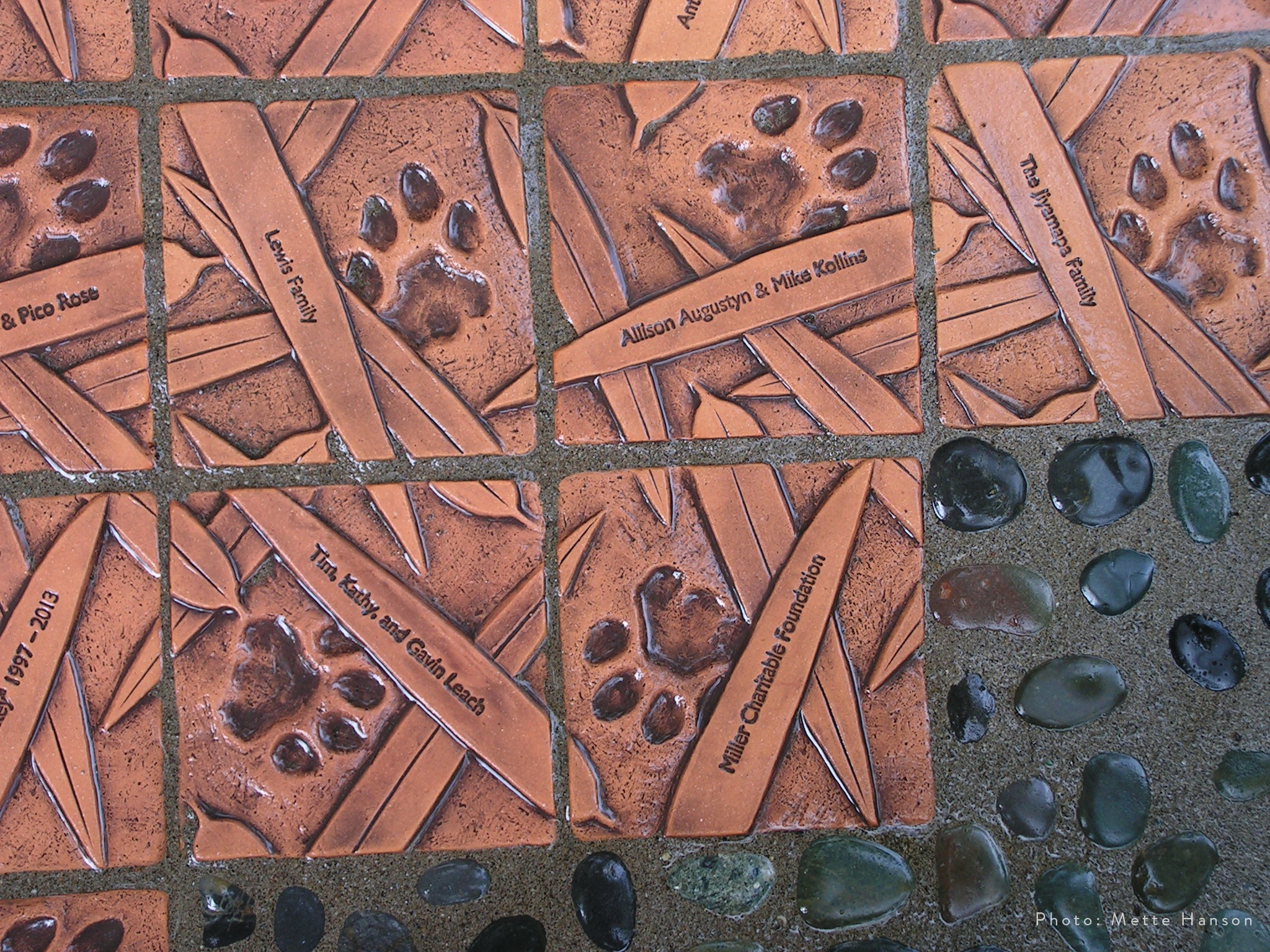 Donor Tile Close Up.jpg