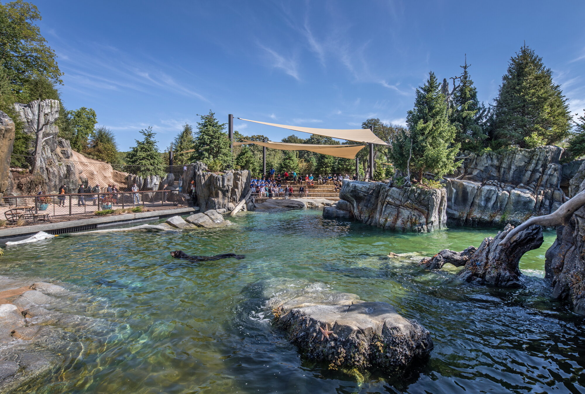 Omaha's Henry Doorly Zoo & Aquarium | Owen Sea Lion Shores