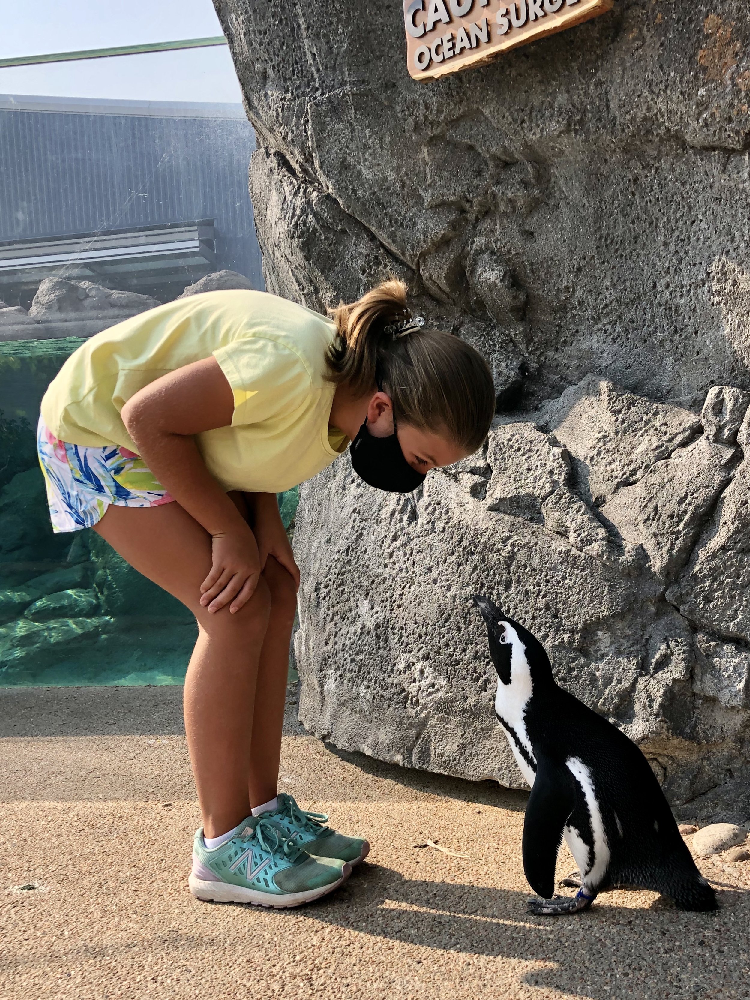 Waters Edge Africa_Girl with African penguin_Jenna Fariss guest permission_8-27-20w.jpg