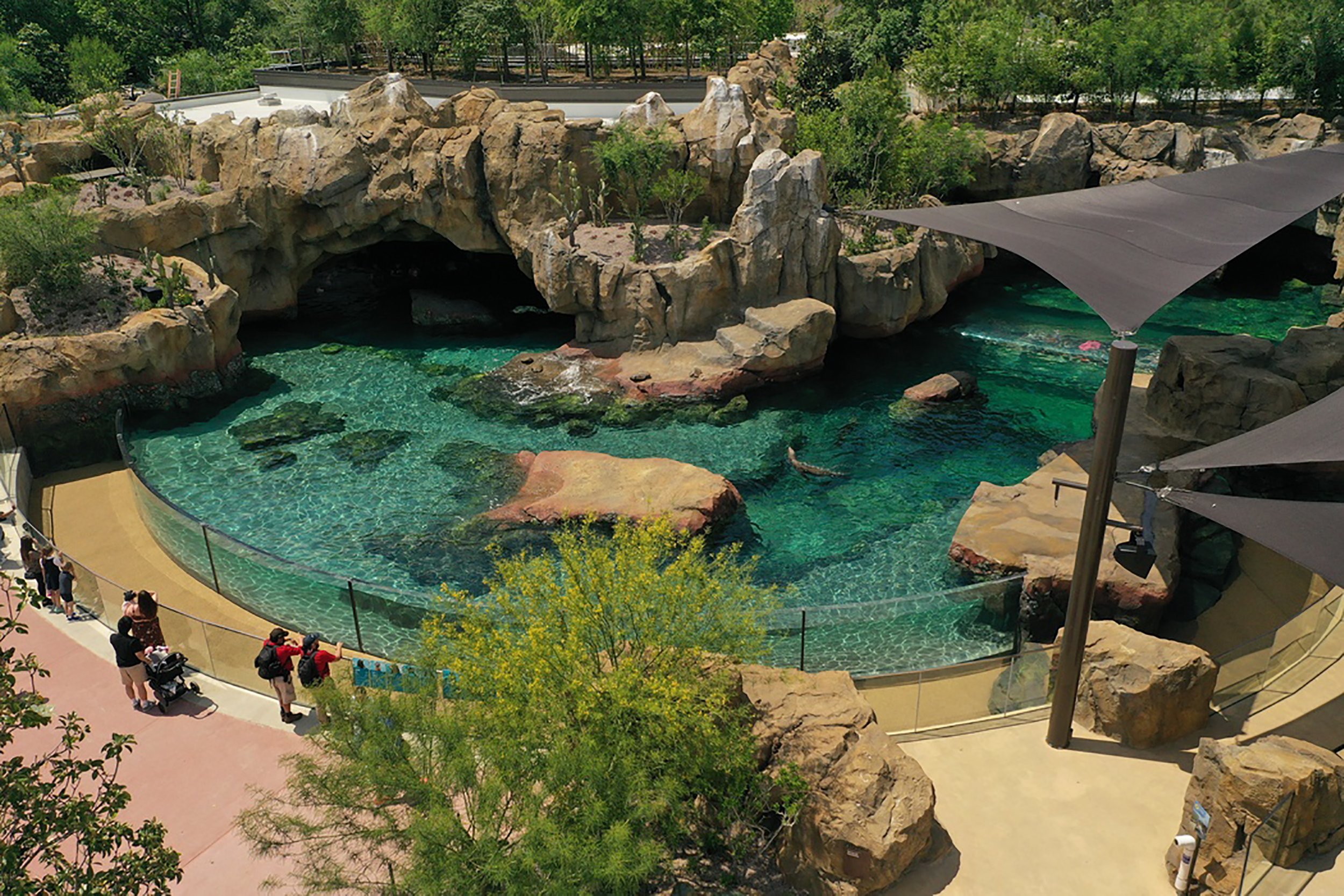   Photo:  Houston Zoo  